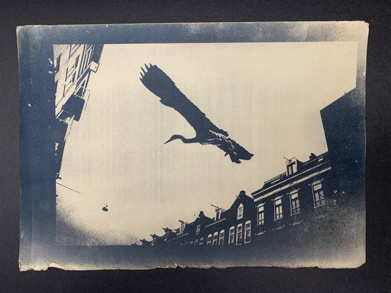 Albert Cuypstraat, Amsterdam