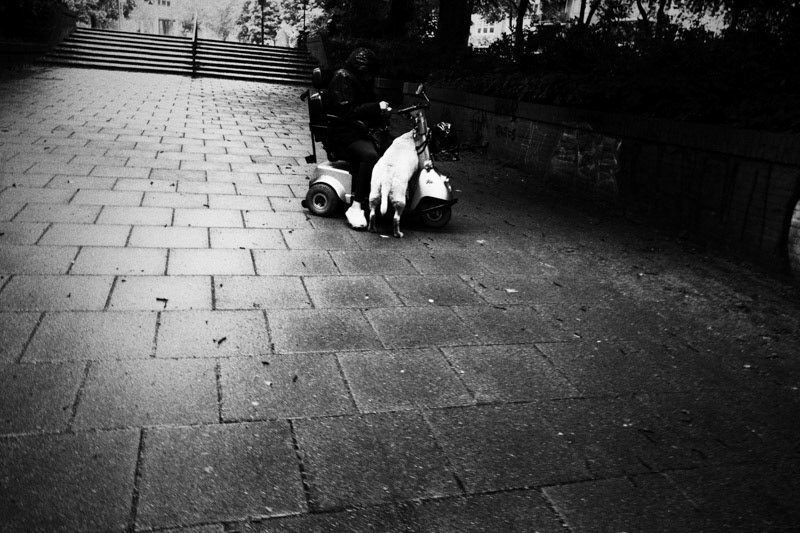 Amsterdam, Javaplantsoen