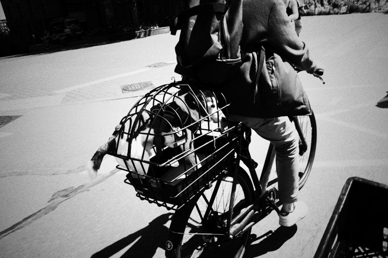 Amsterdam, Piet Heinkade