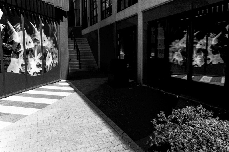 Amsterdam, Molukkenstraat, Maxi Zoo