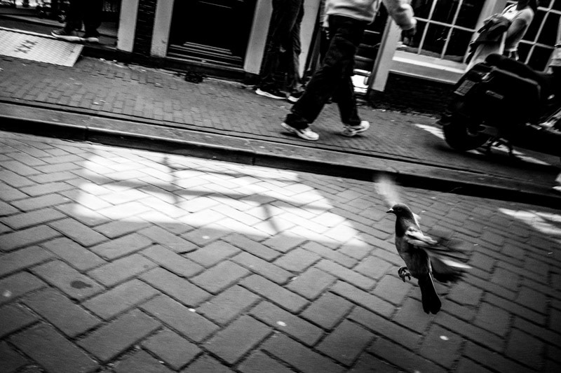 Amsterdam, Staalstraat