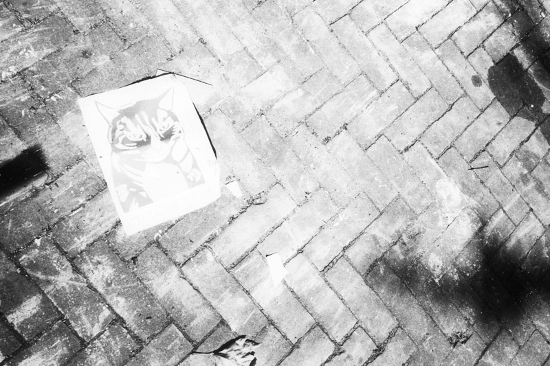 Amsterdam, Eerste van Swindenstraat