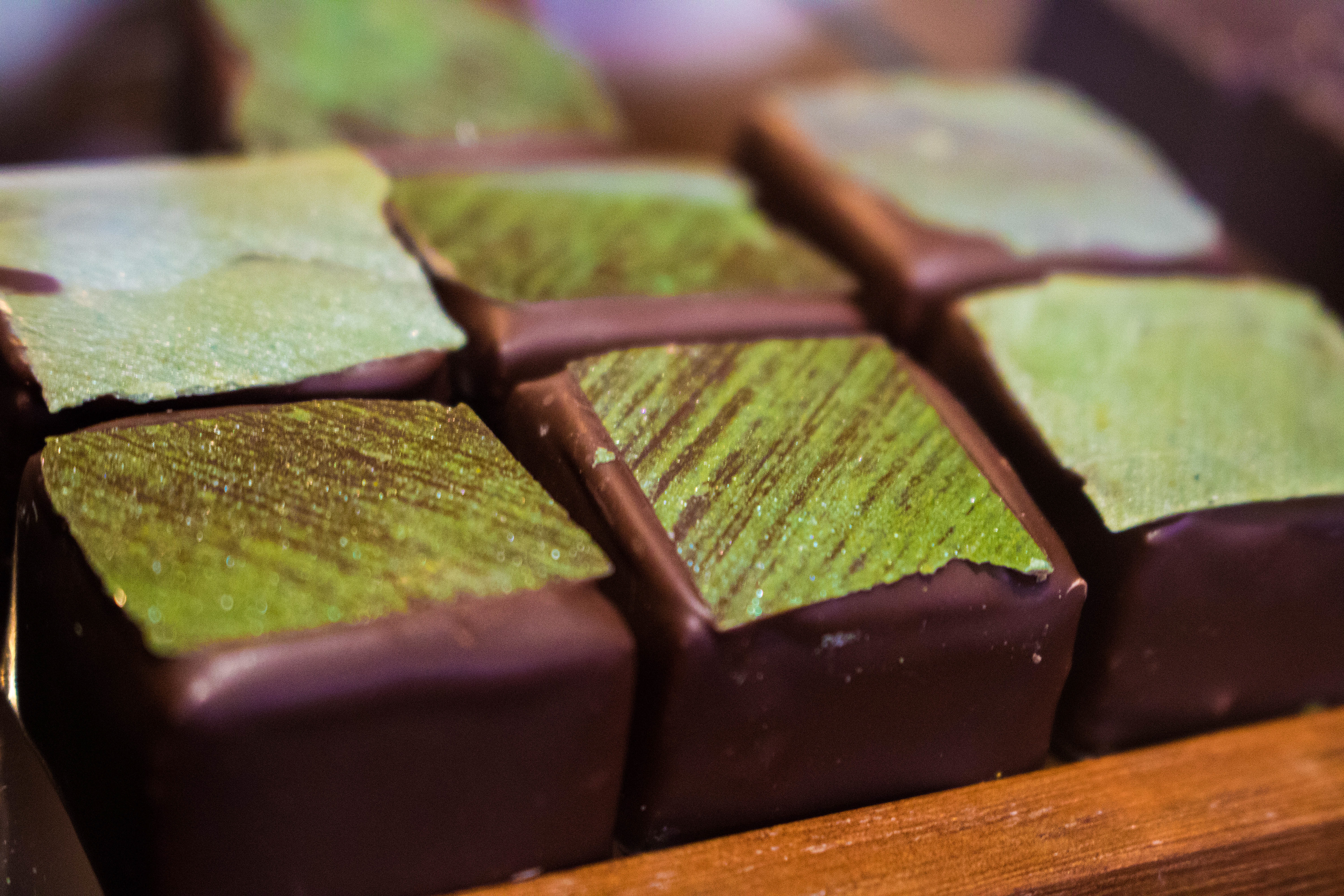 Pittenweem Cocoa Tree