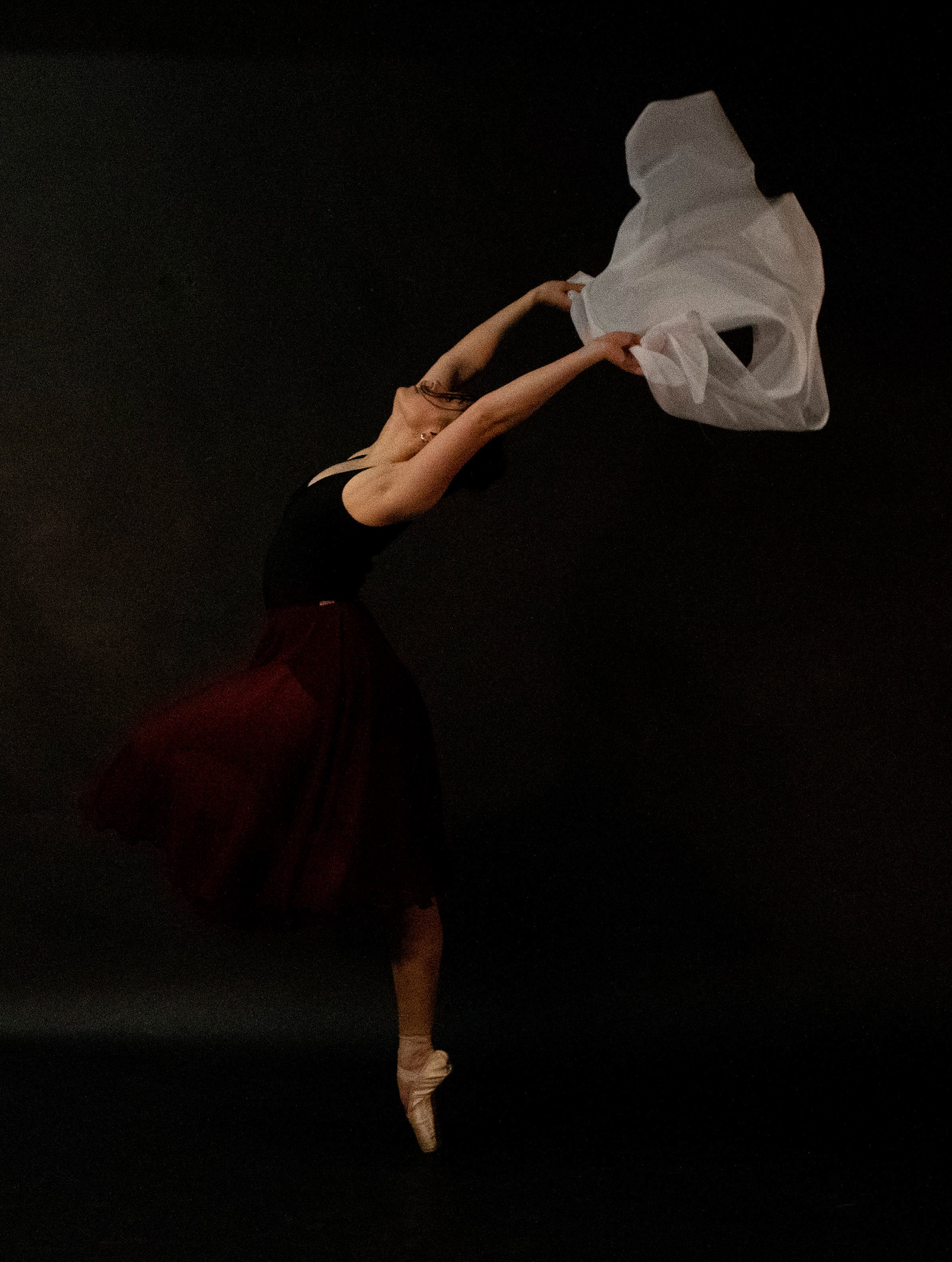 Erin Sheffield