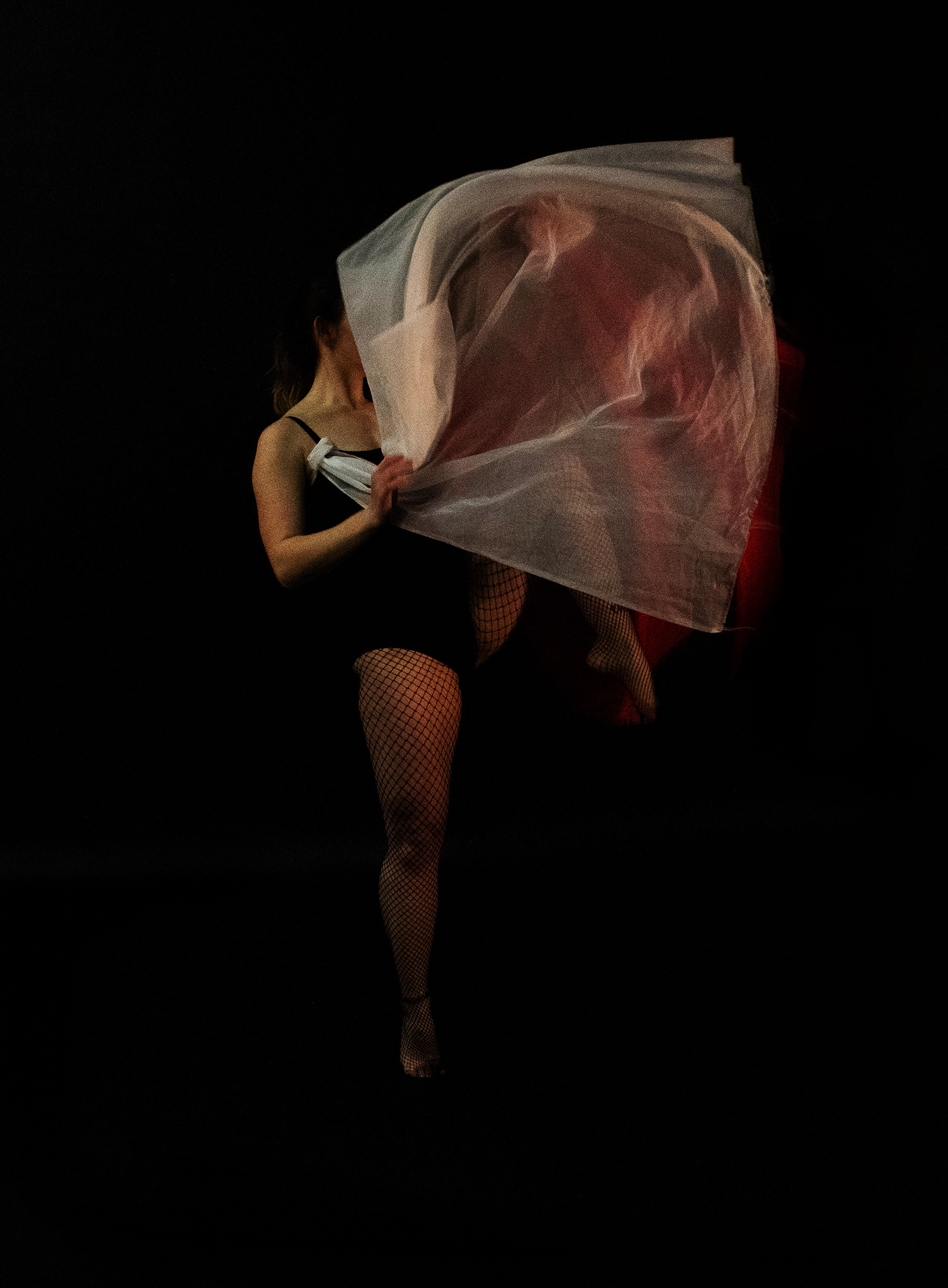 Holly Tomlin