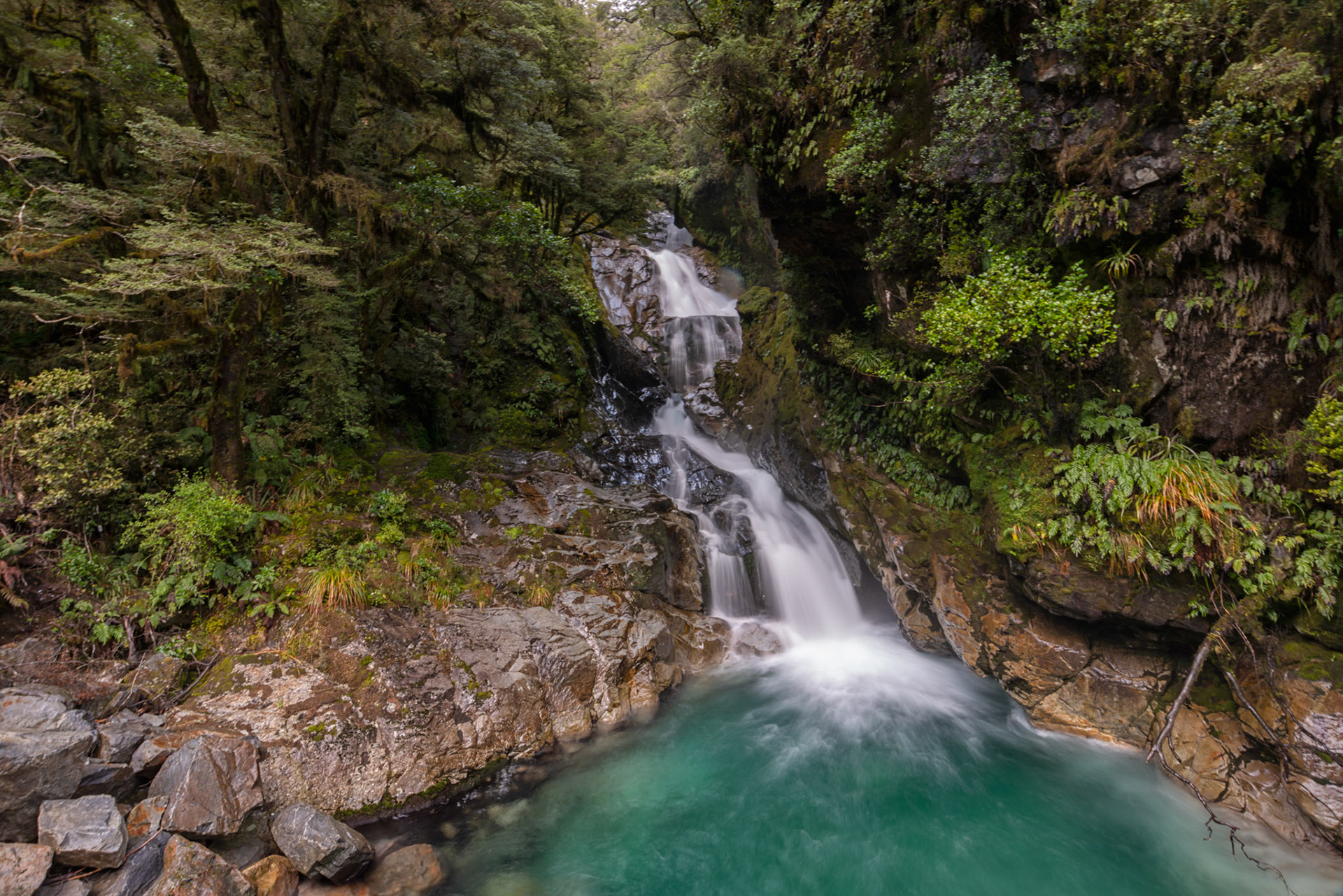 Milford Road, Milford New Zealand