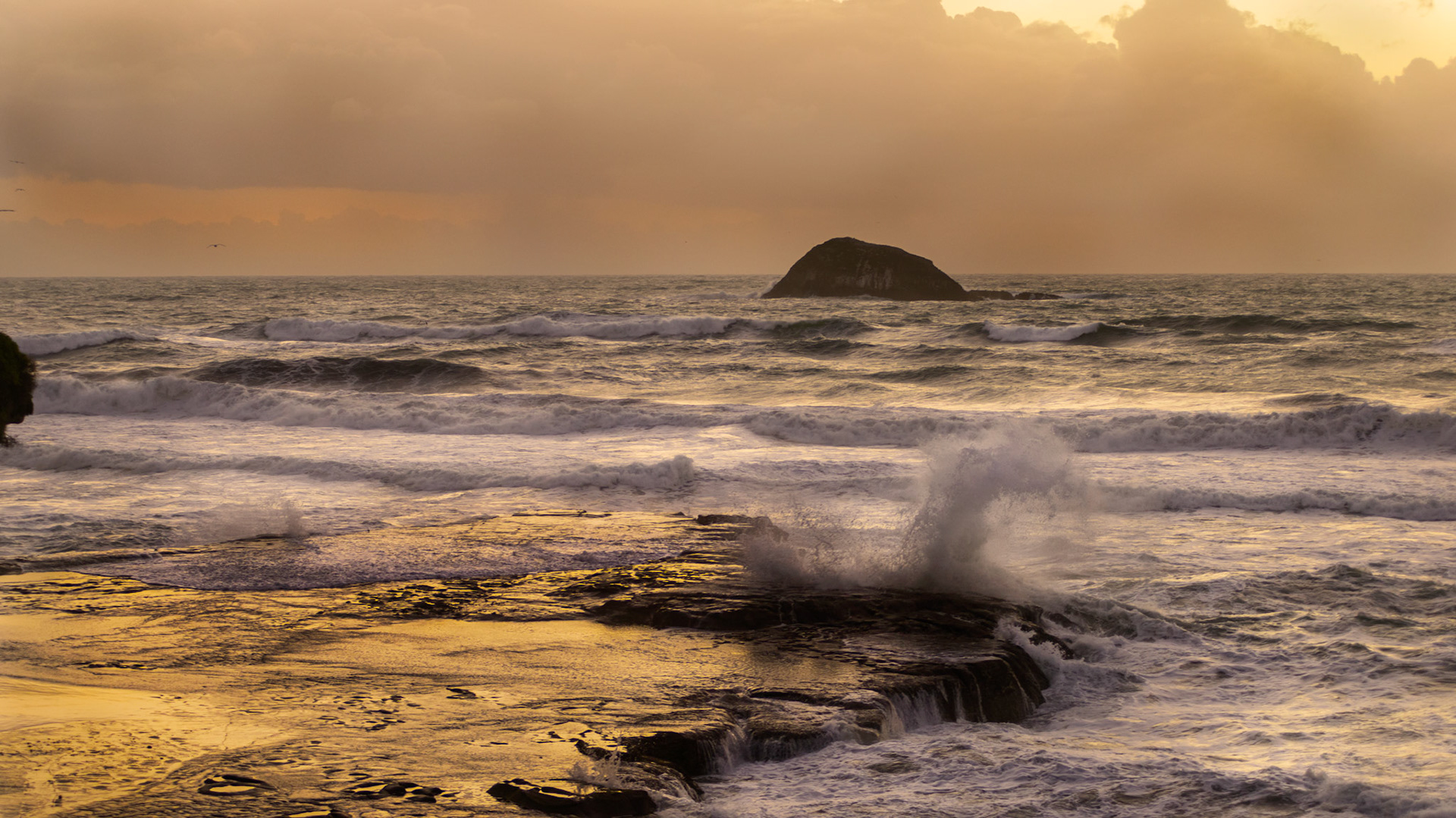 Muriwai, Auckland New Zealand