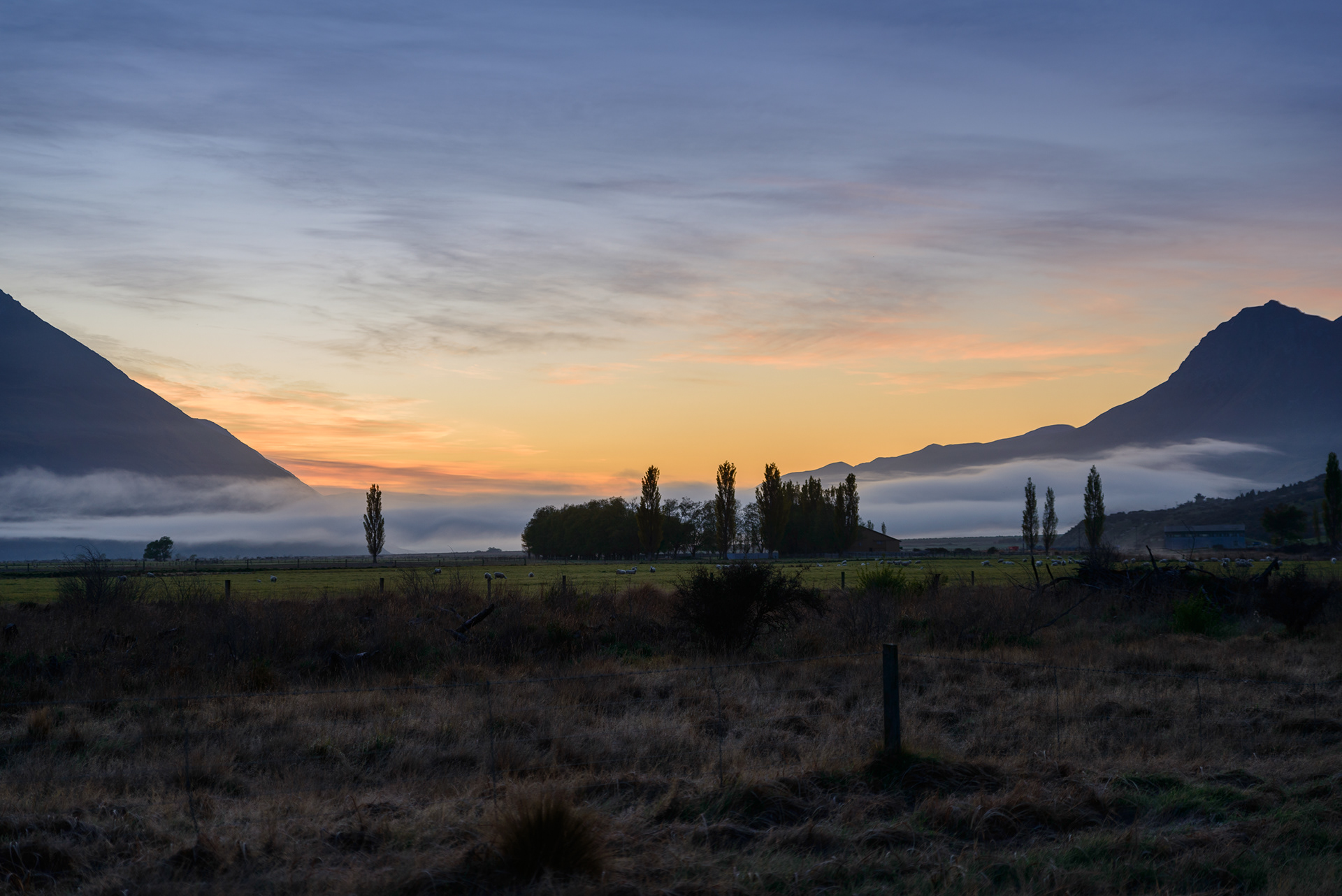 Mesopotamia New Zealand