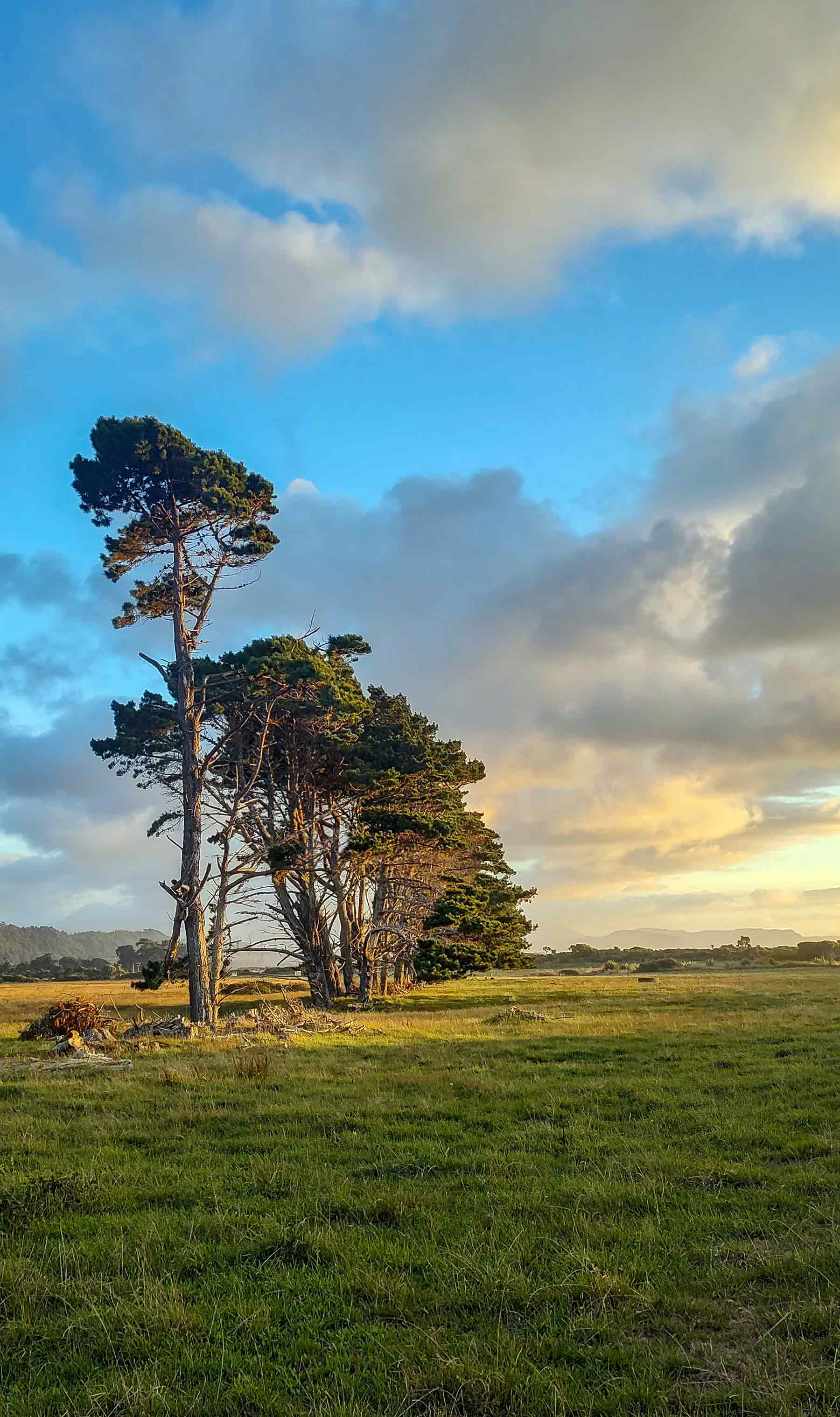 Karamea Estuary, Karamea, West Coast New Zealand