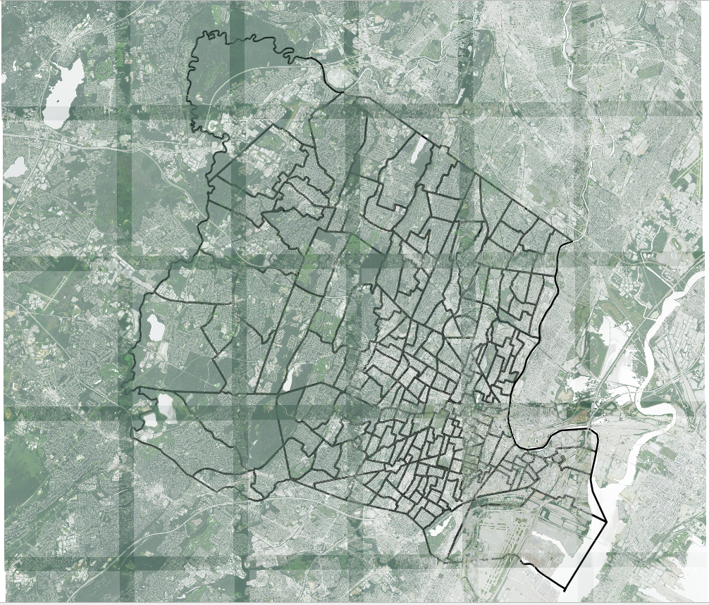 (a) NAIP TILES OVER SHAPEFILE