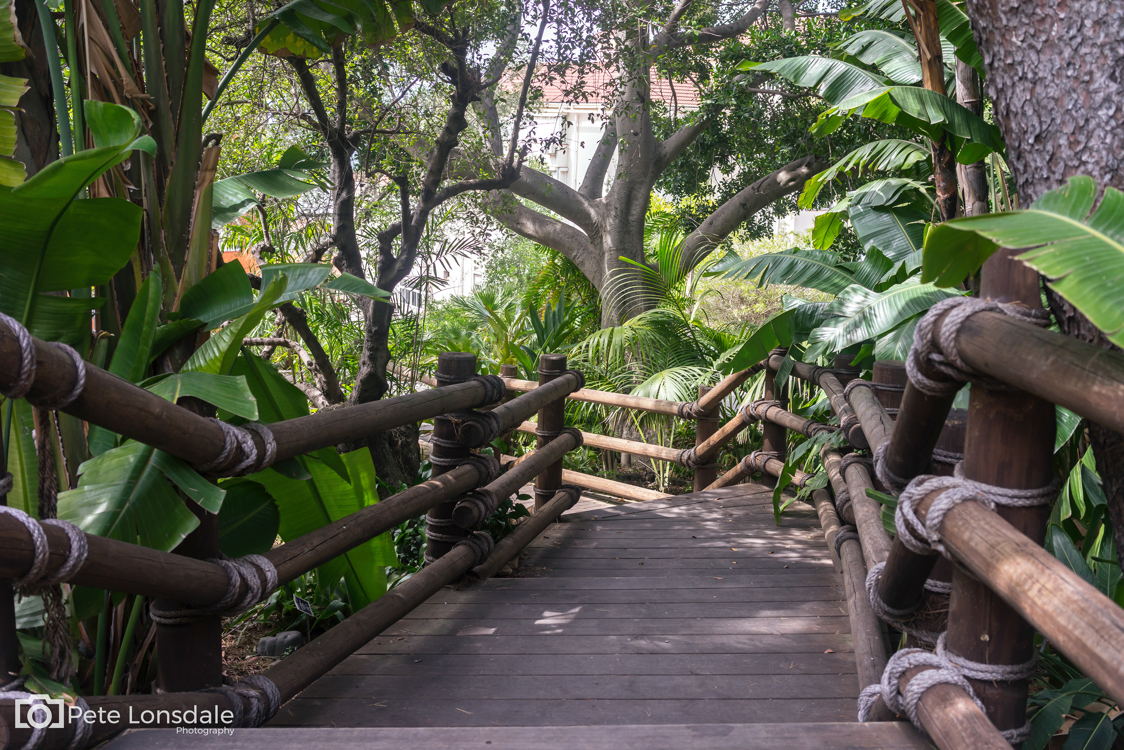 Botanical Gardens, Gibraltar