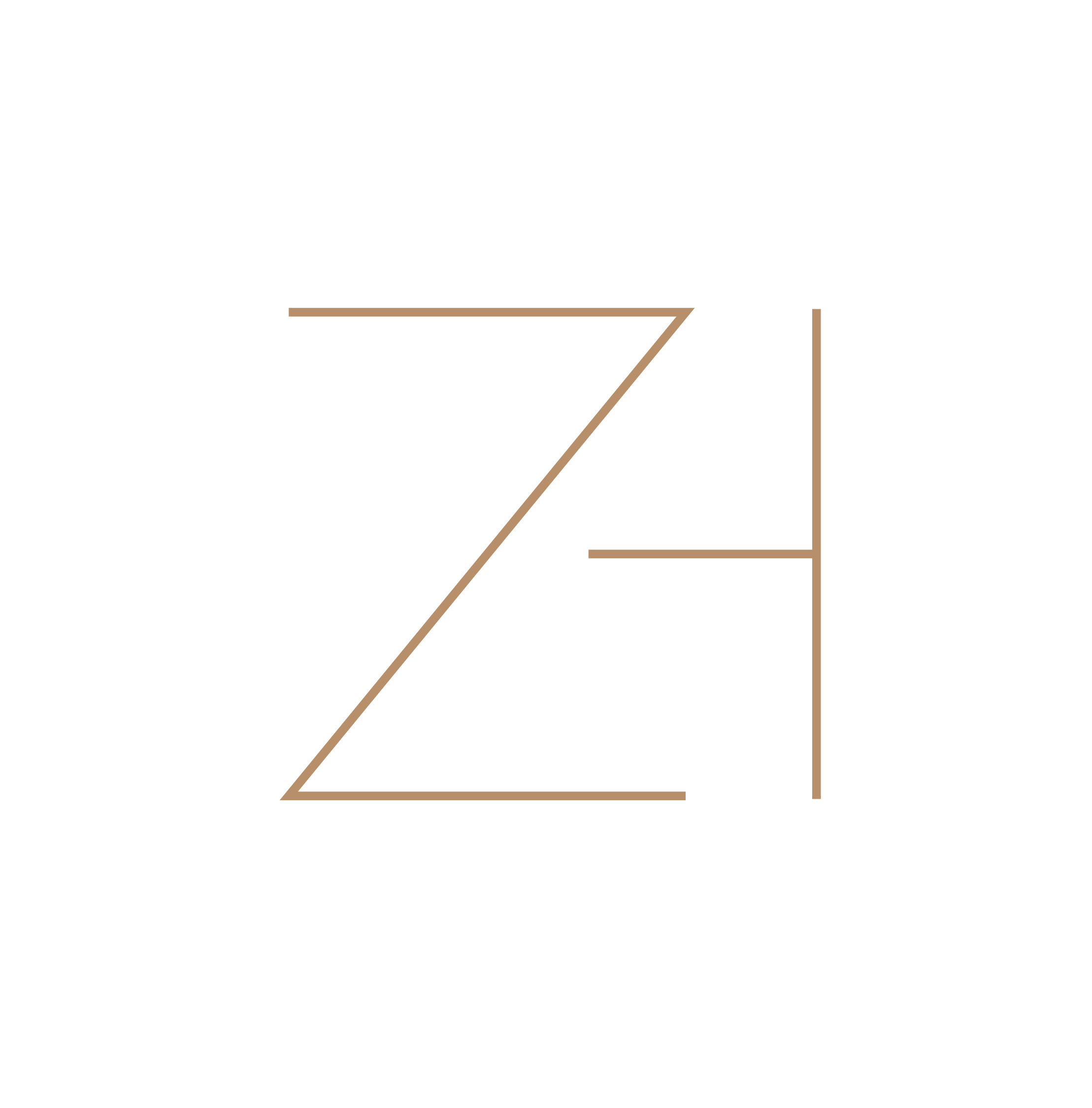 ZIV HASON