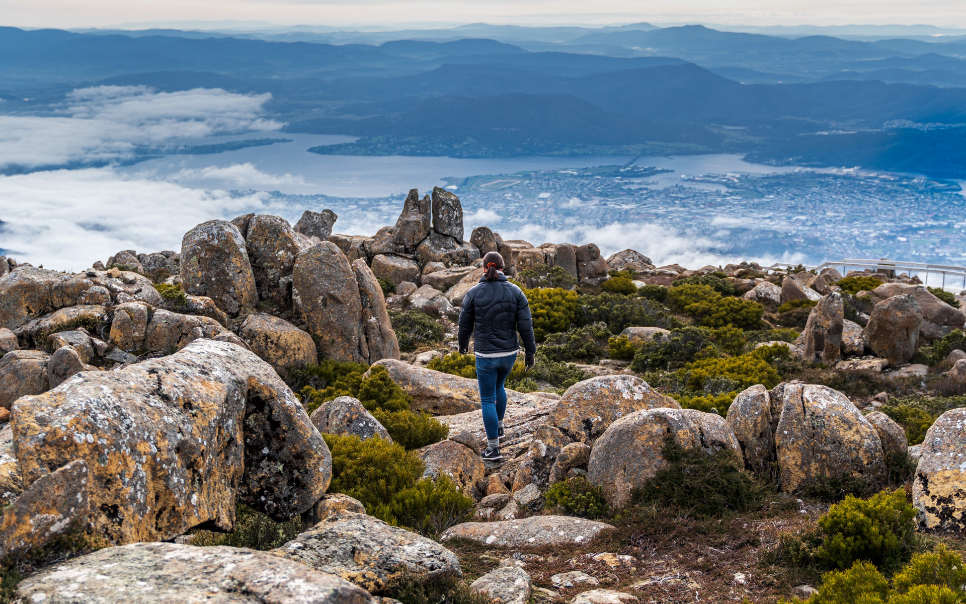Mt Wellington