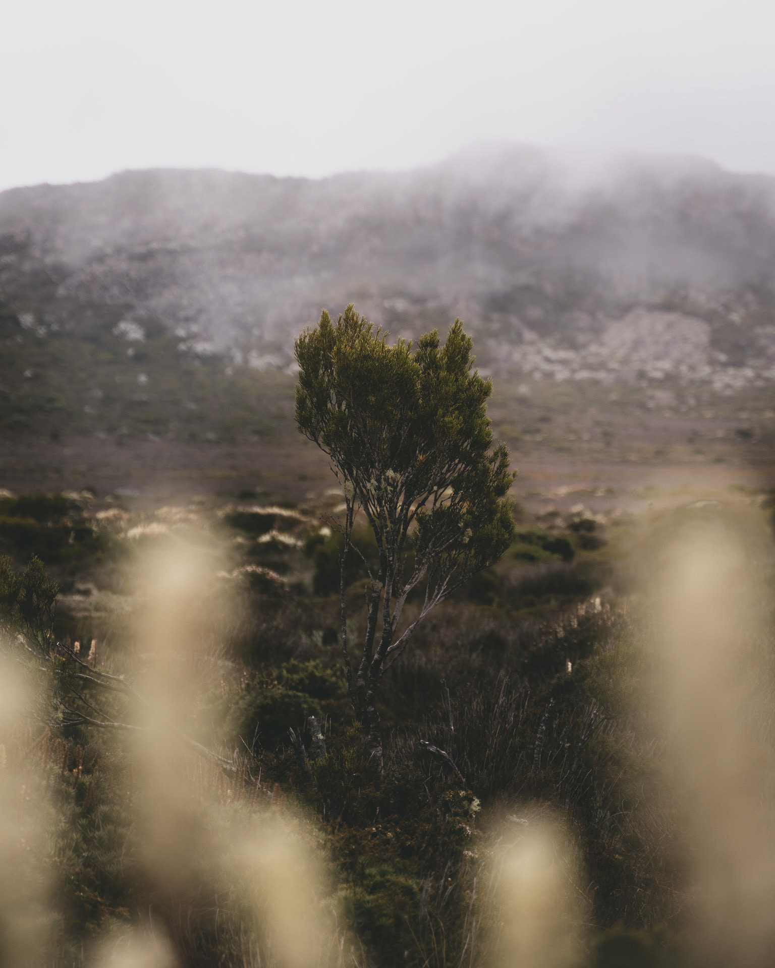 Middle of Tassie