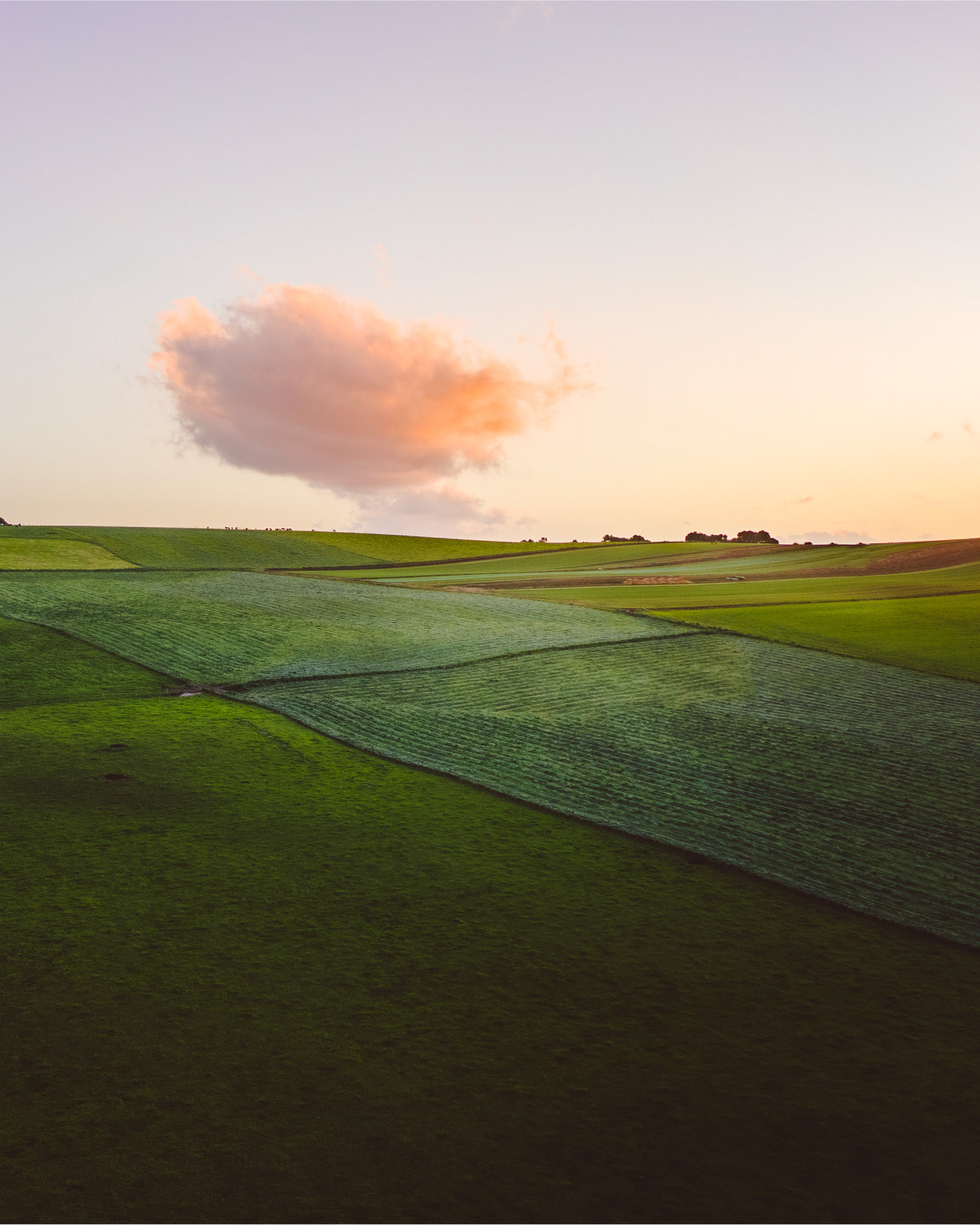 Cooee farms