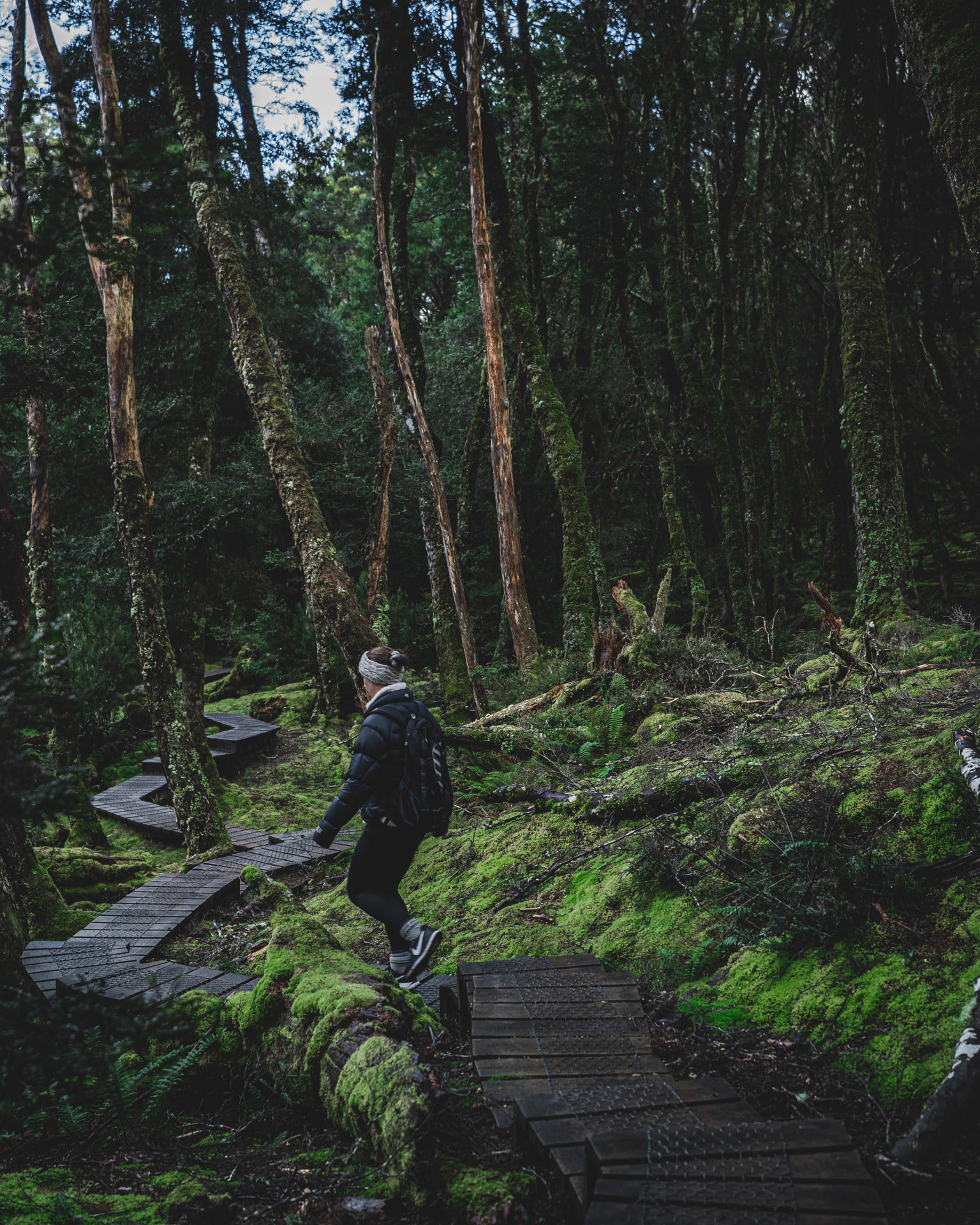 Cradle Mountain