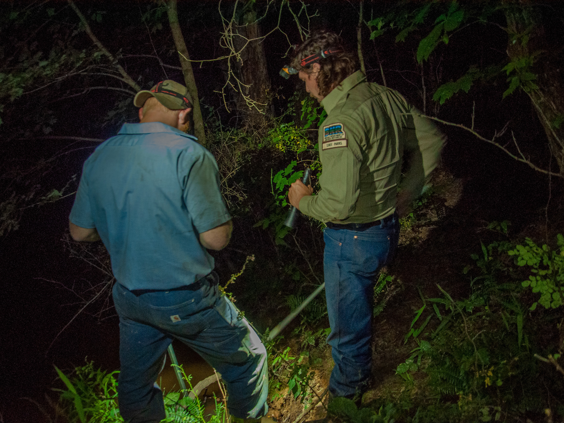 Giggers scout the ponds for ideal frogs to hunt.