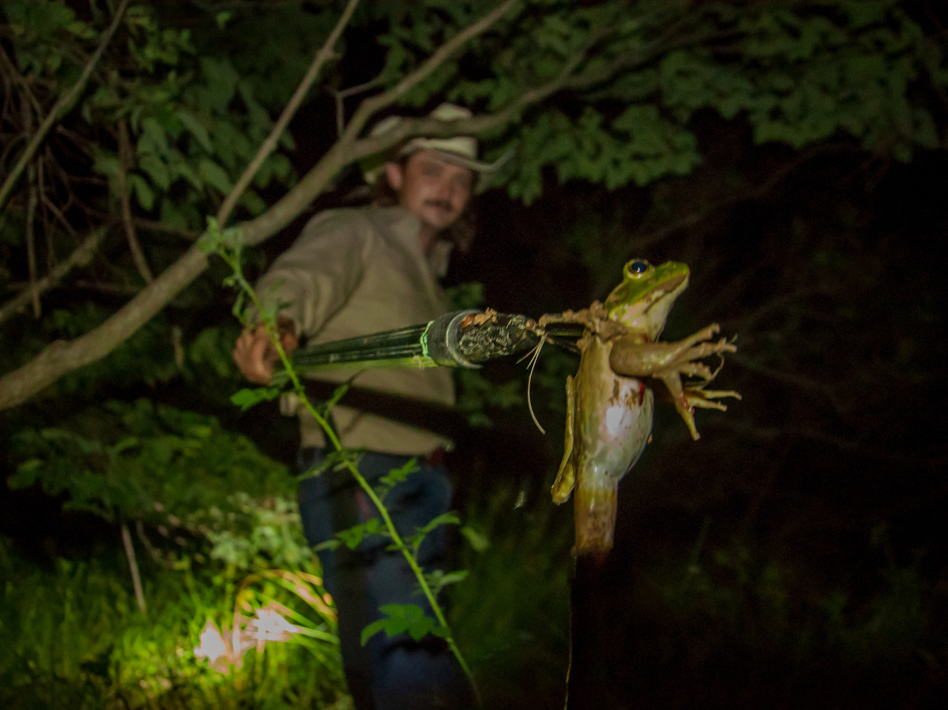 Gigging frogs for dinner? That's a lot of fun