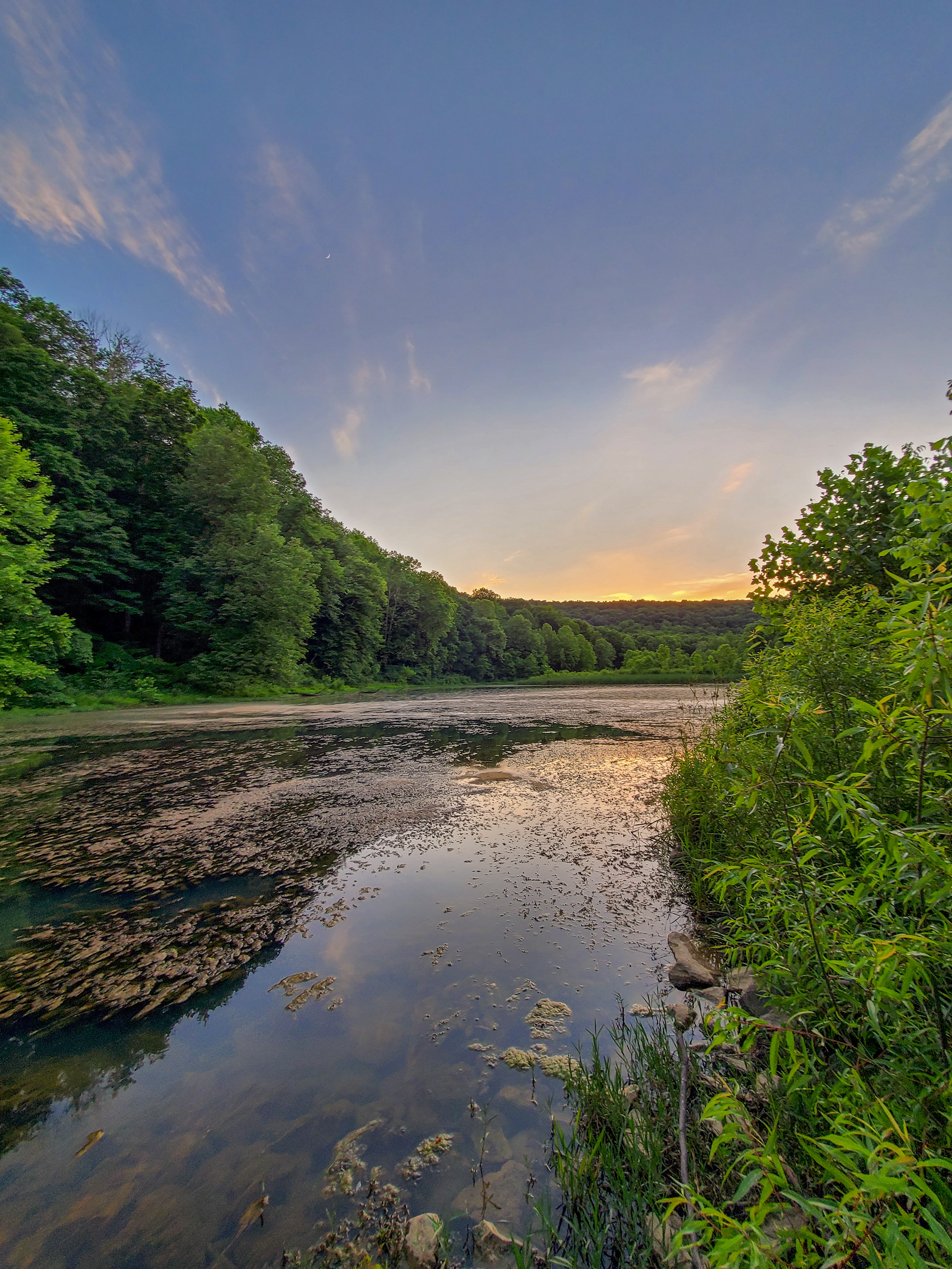 O’bannon Woods State Forest, Corydon, IN