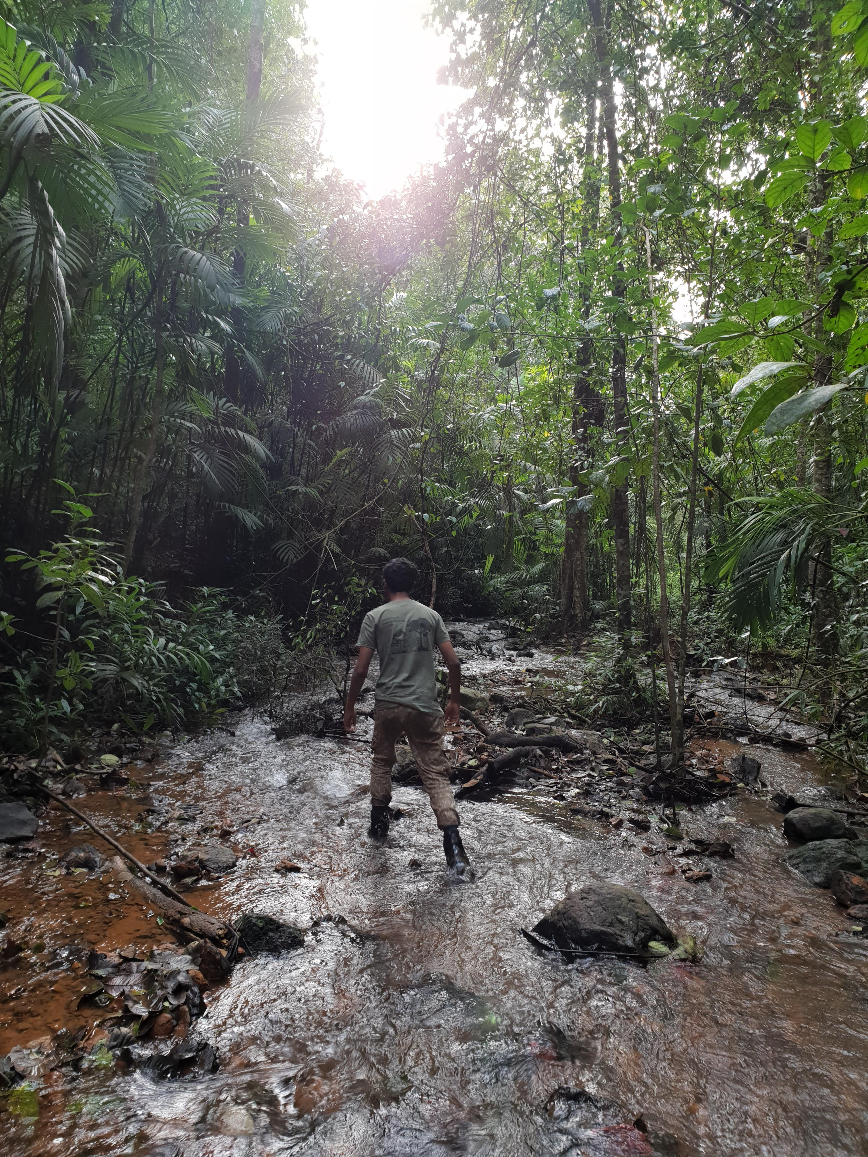 Agumbe, 2018.