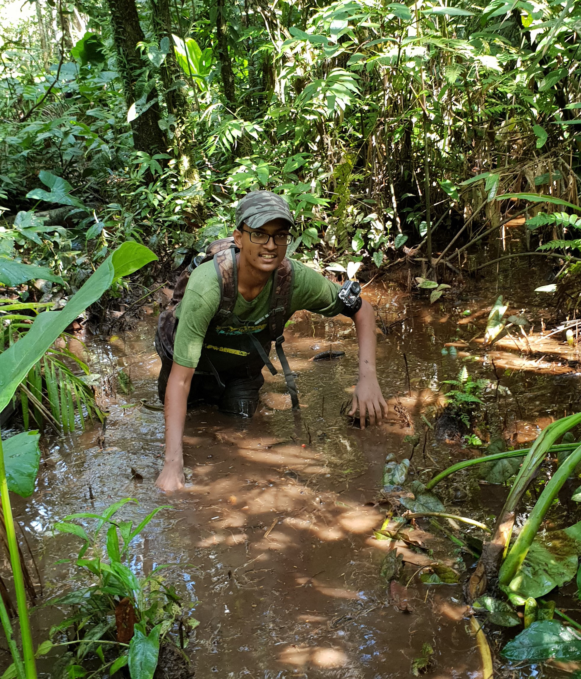 Tambopata, 2018.