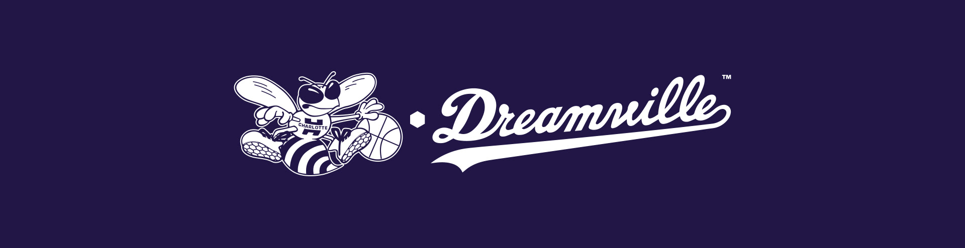 Team DREAMVILLE on X: Lute remixed the Charlotte Hornets logo for some new  merch 🔥🔥🔥  / X