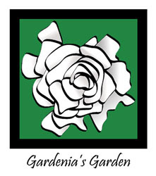 Logo / Illustration