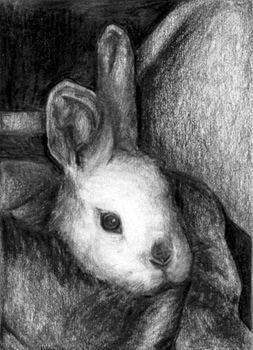 Bunny, Pencil on Paper, 9 x 12", 2002