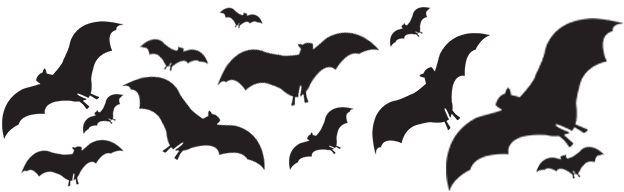 Web Banner