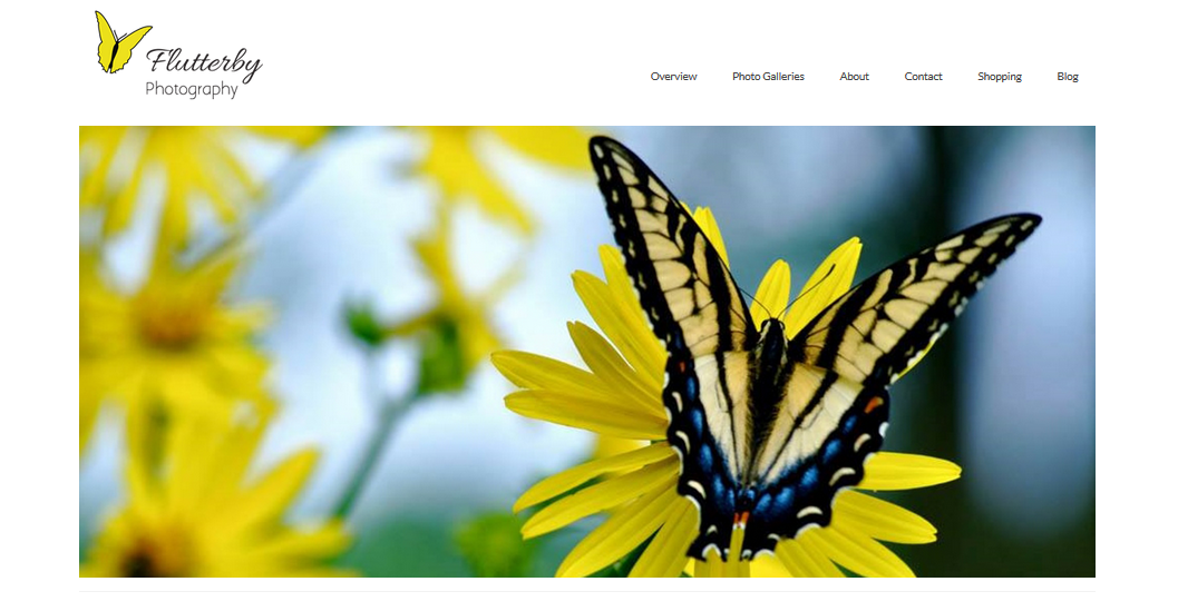 Website Header with Logo