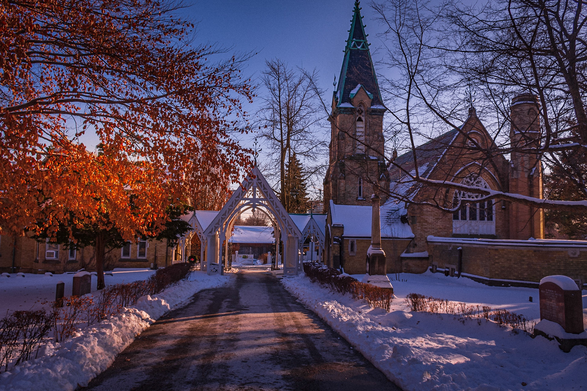 Toronto Necropolis