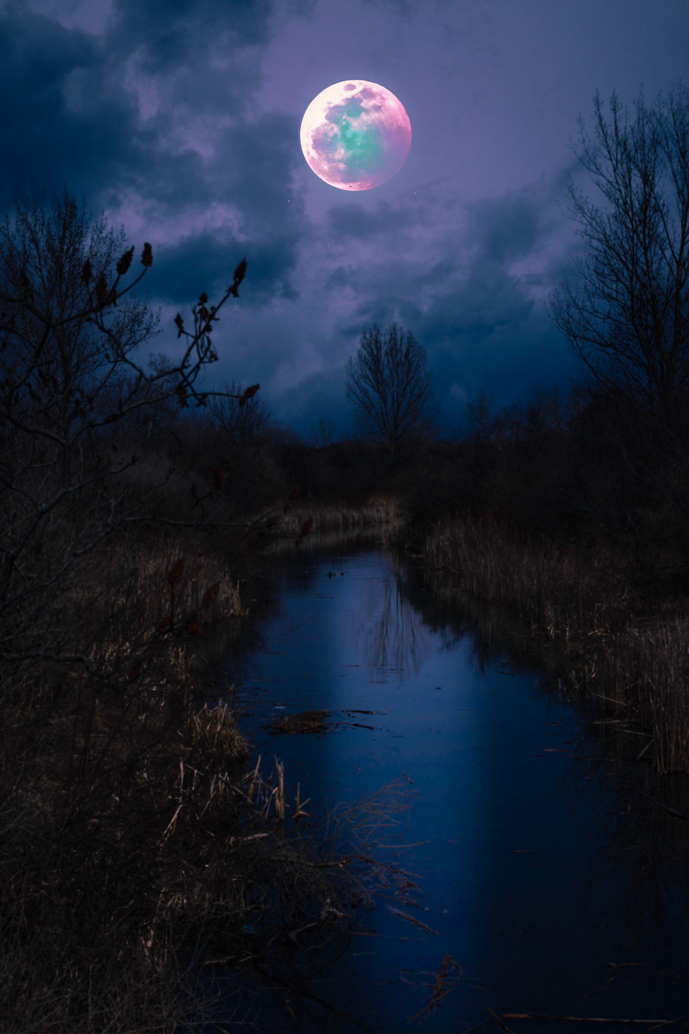 The Howling