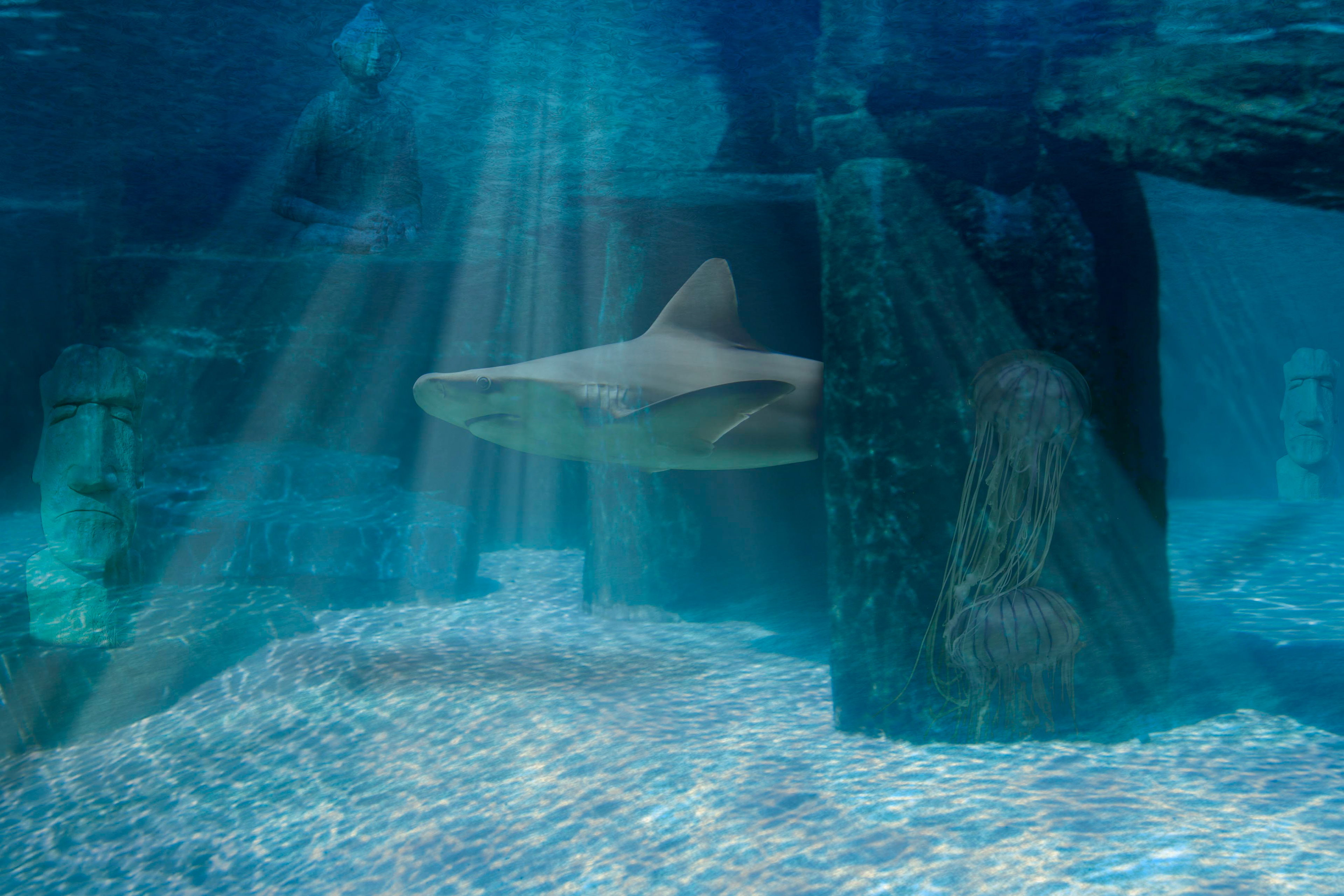Atlantis