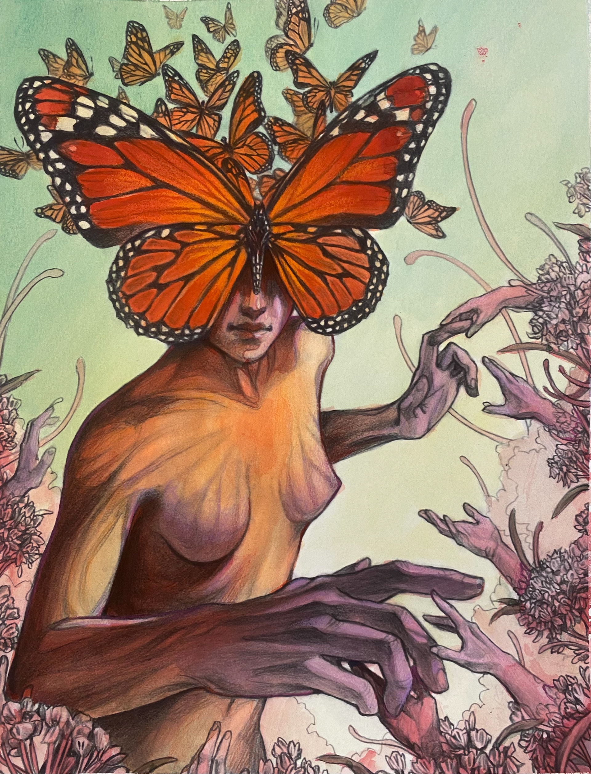 The Monarch, 9 x 11, Pencil and Watercolor