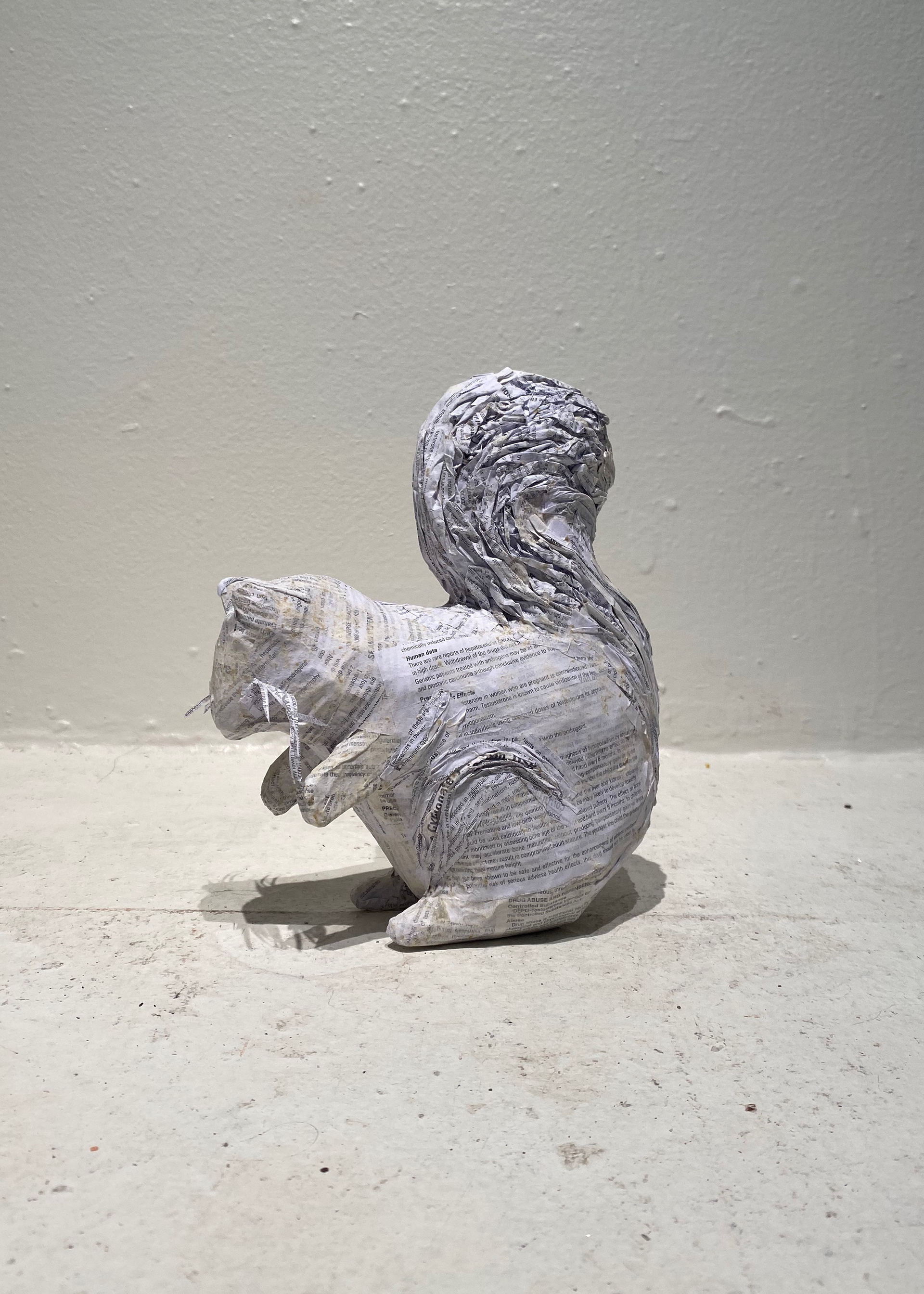 Paper Mache Squirrel (2024)