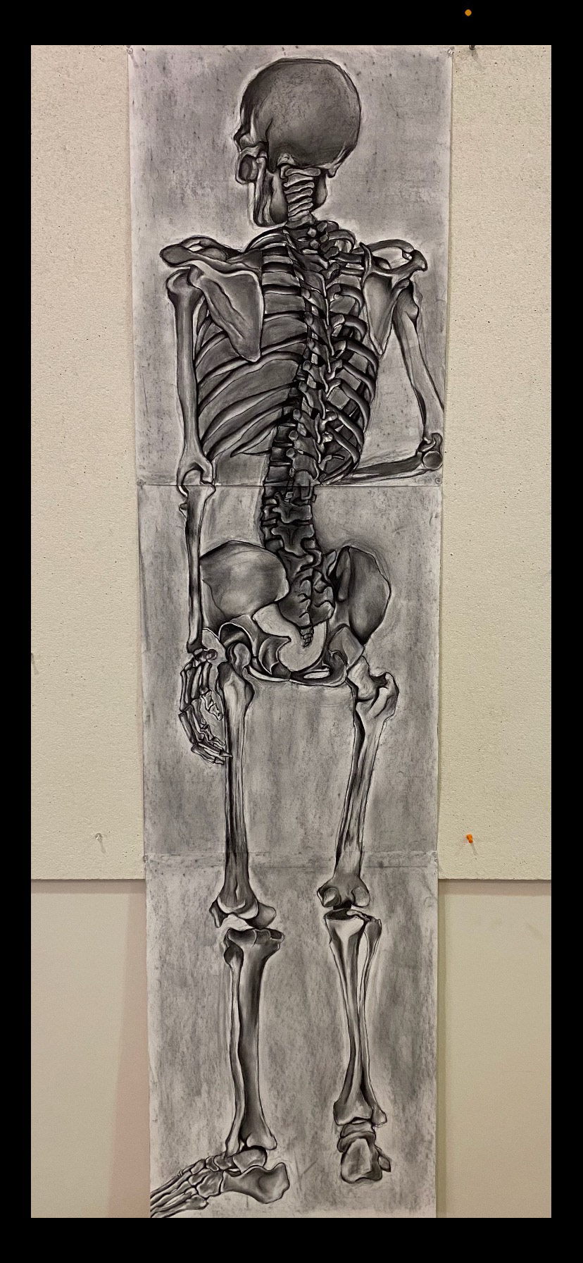 Charcoal on paper - 18" x 72" (2022)