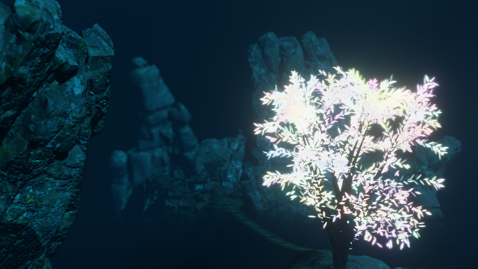 Environment Bg