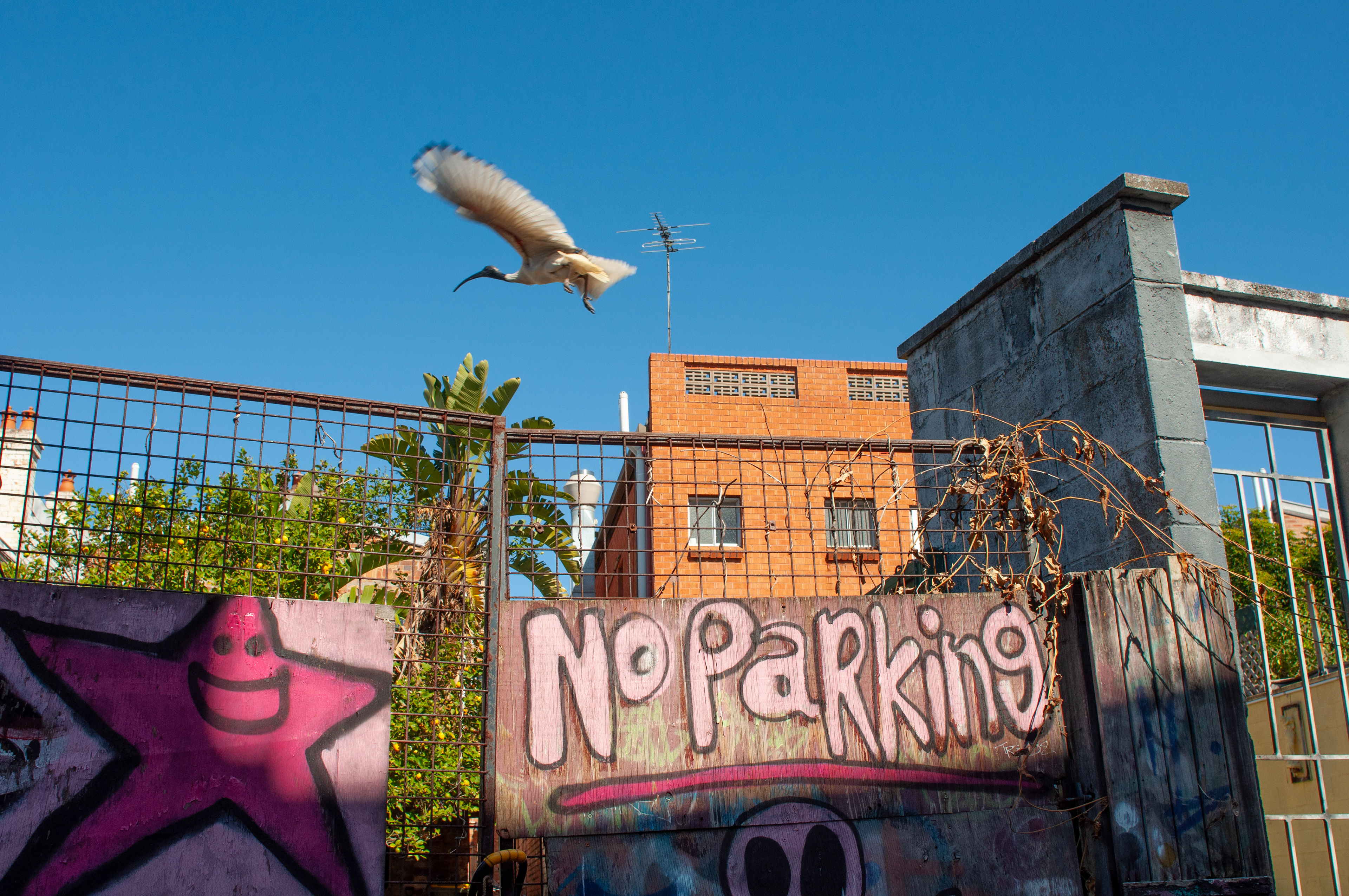 Newtown