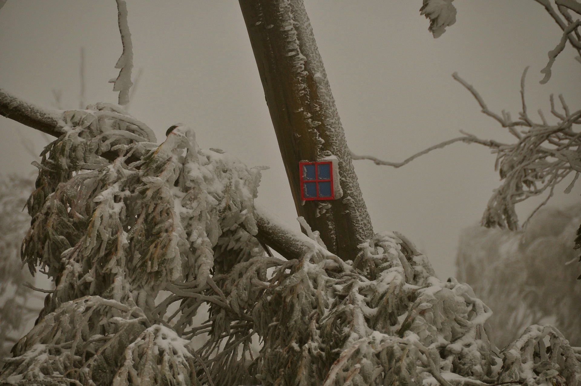 Mt. Buller