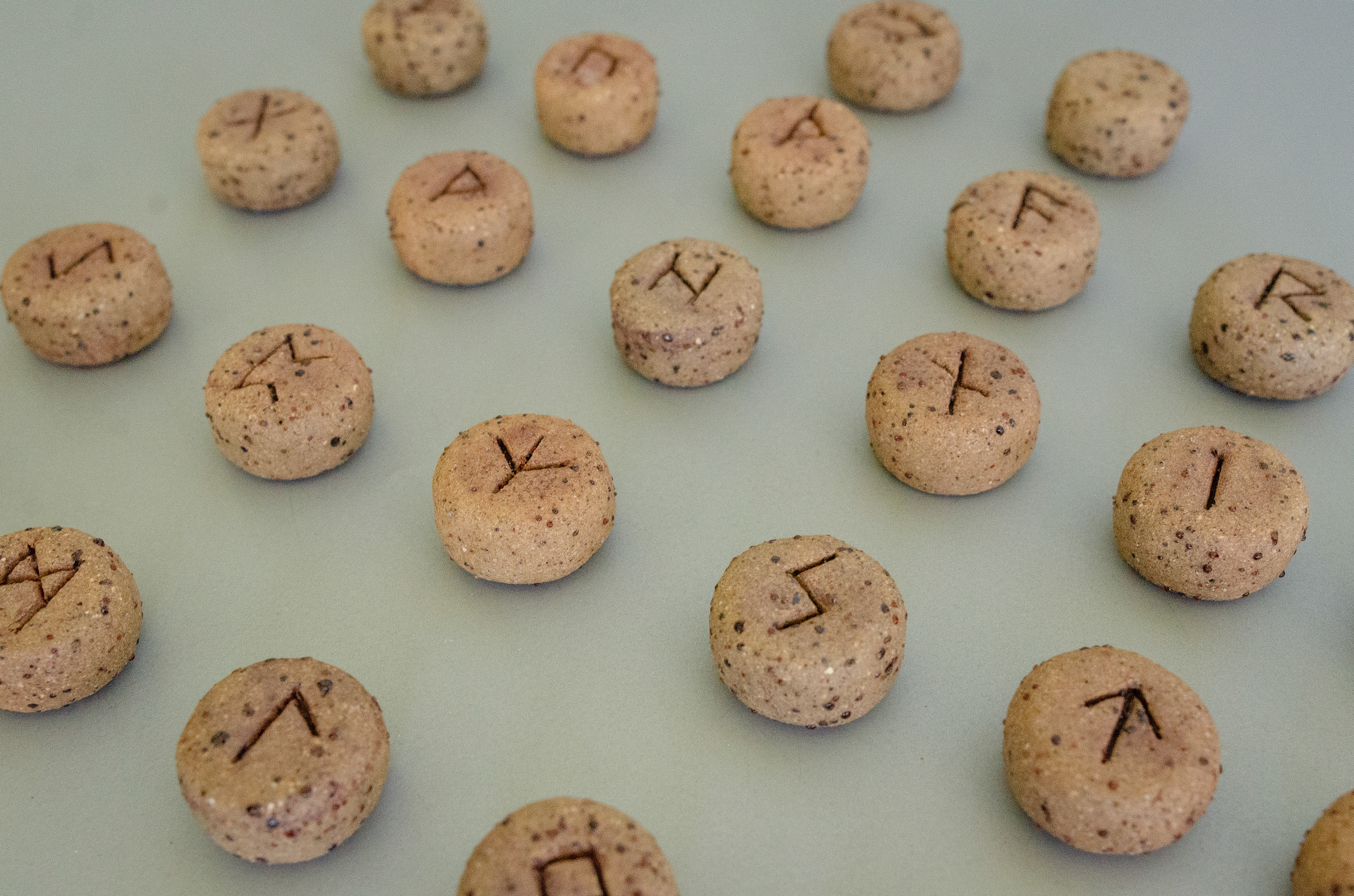 Elder Futhark Rune Stones & Raven stone (2024) Buff Raku Trachyte with Red Iron Oxide 2cm (W) x 1cm (H)