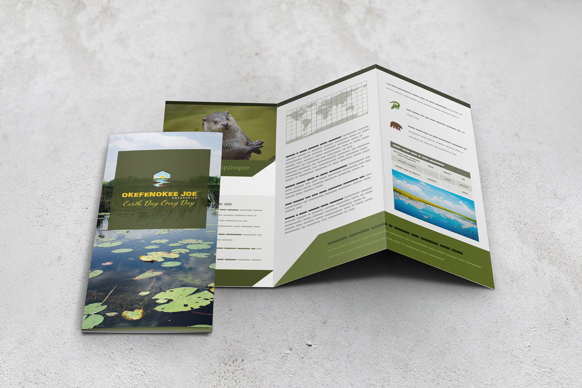 Brochure