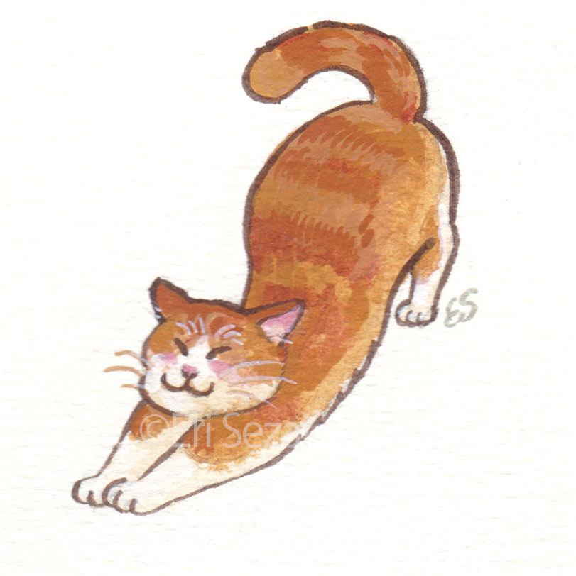 のび猫