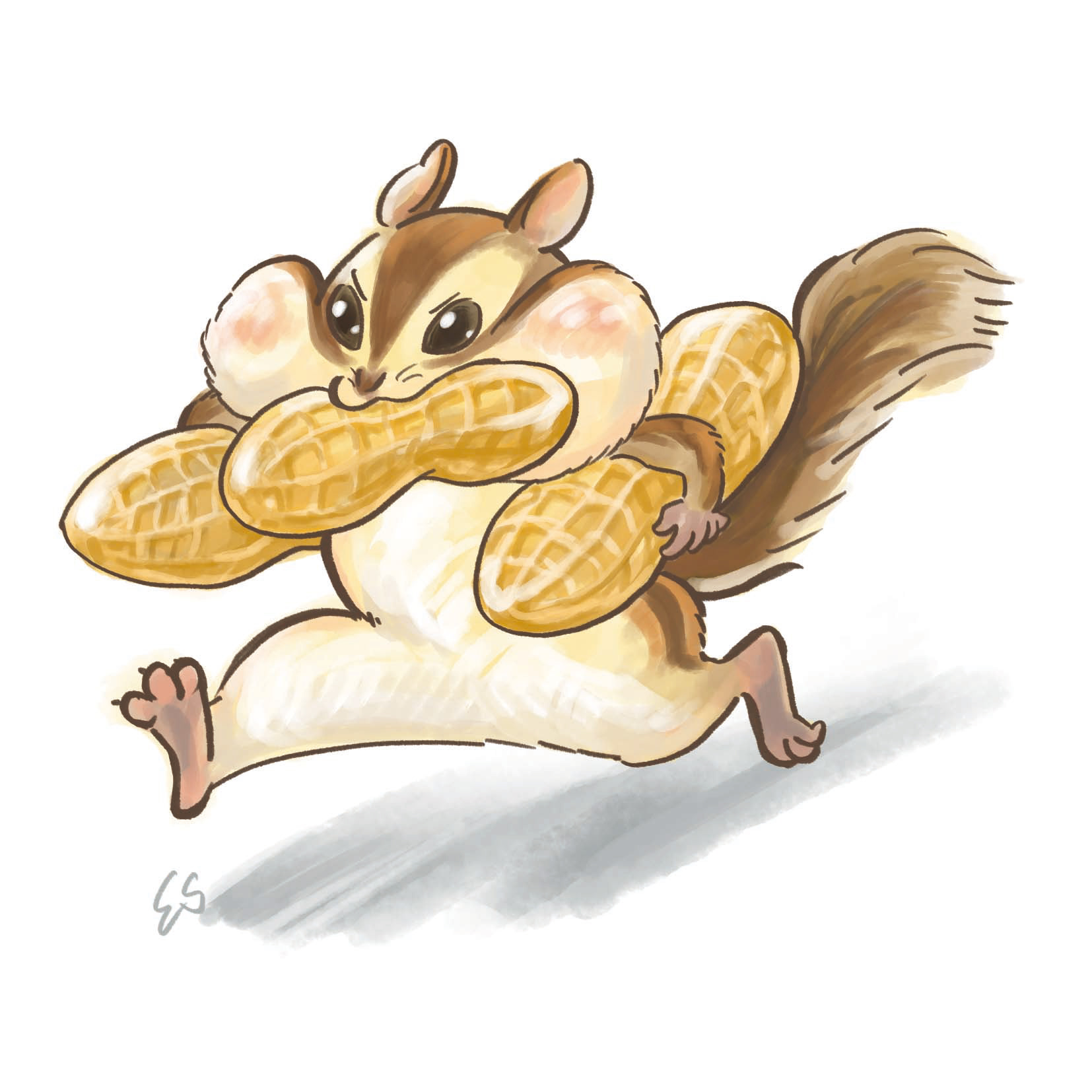 シマリス