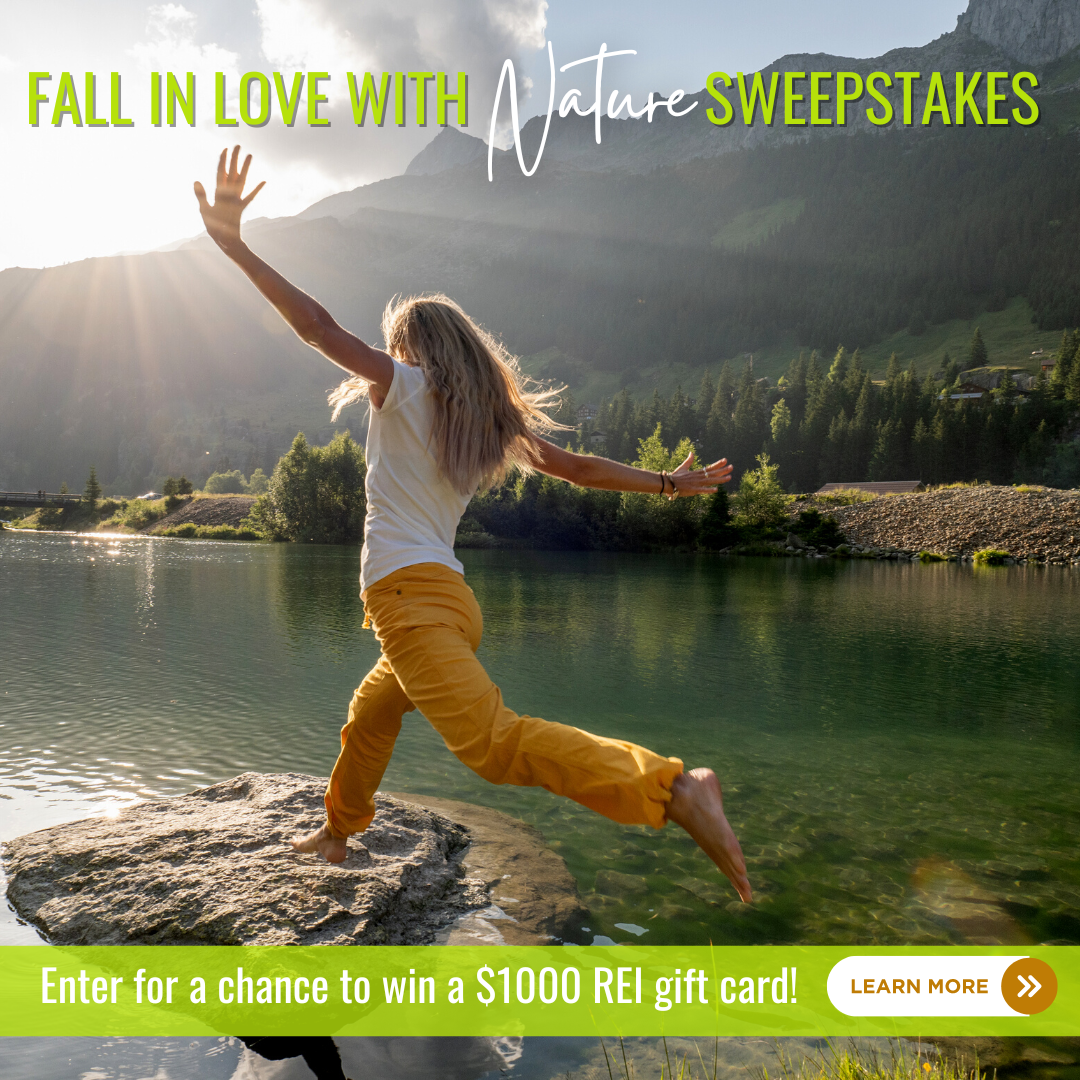 Fall in Love with Nature Campaign visuals.