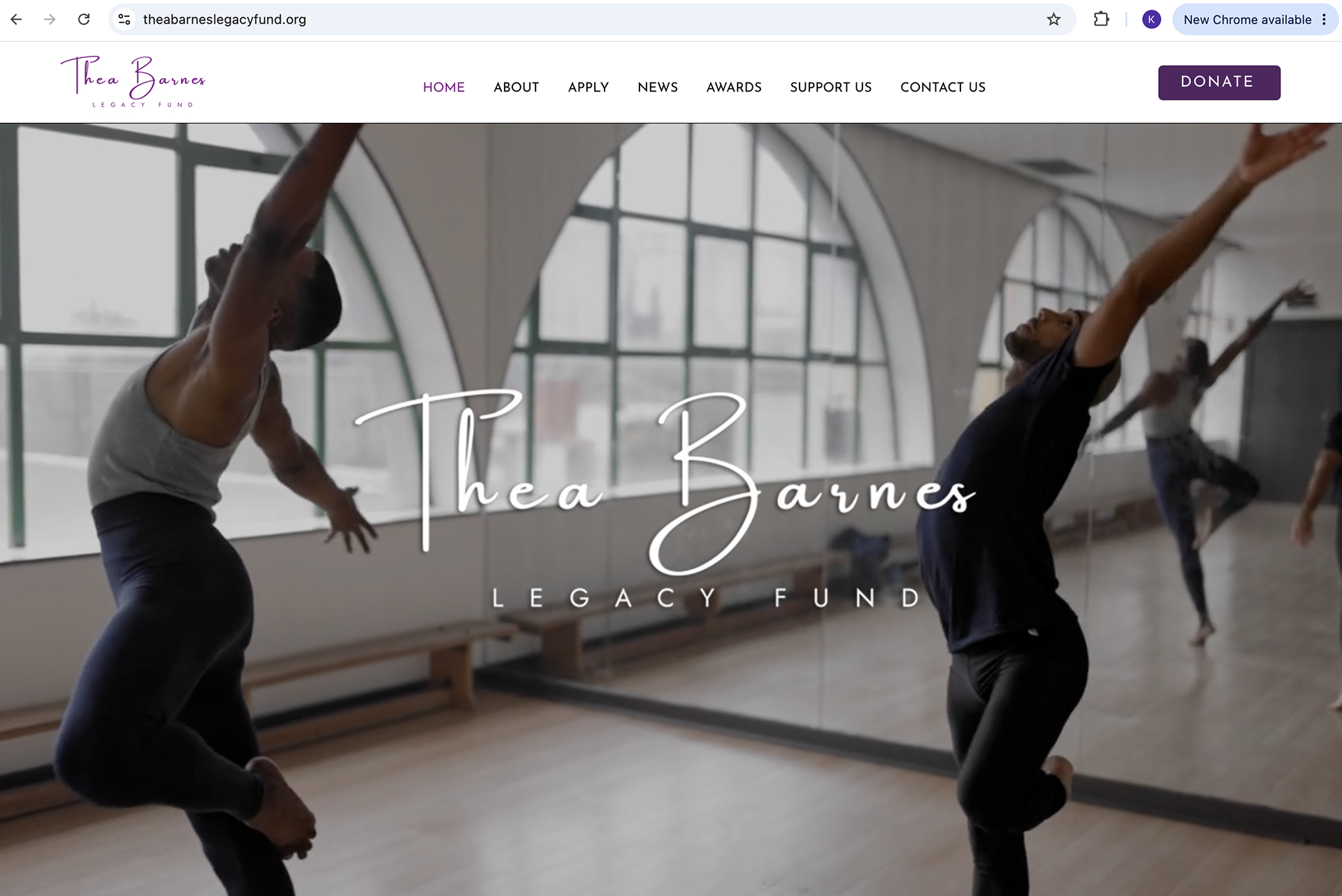 Thea Barnes Legacy Fund website redesign