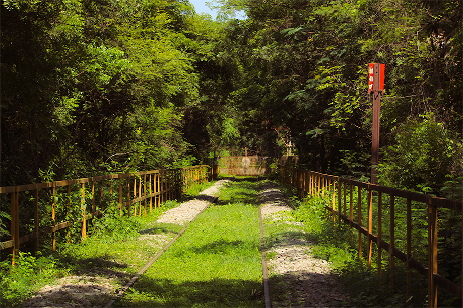 Raw Material Train track to BHEL Factory