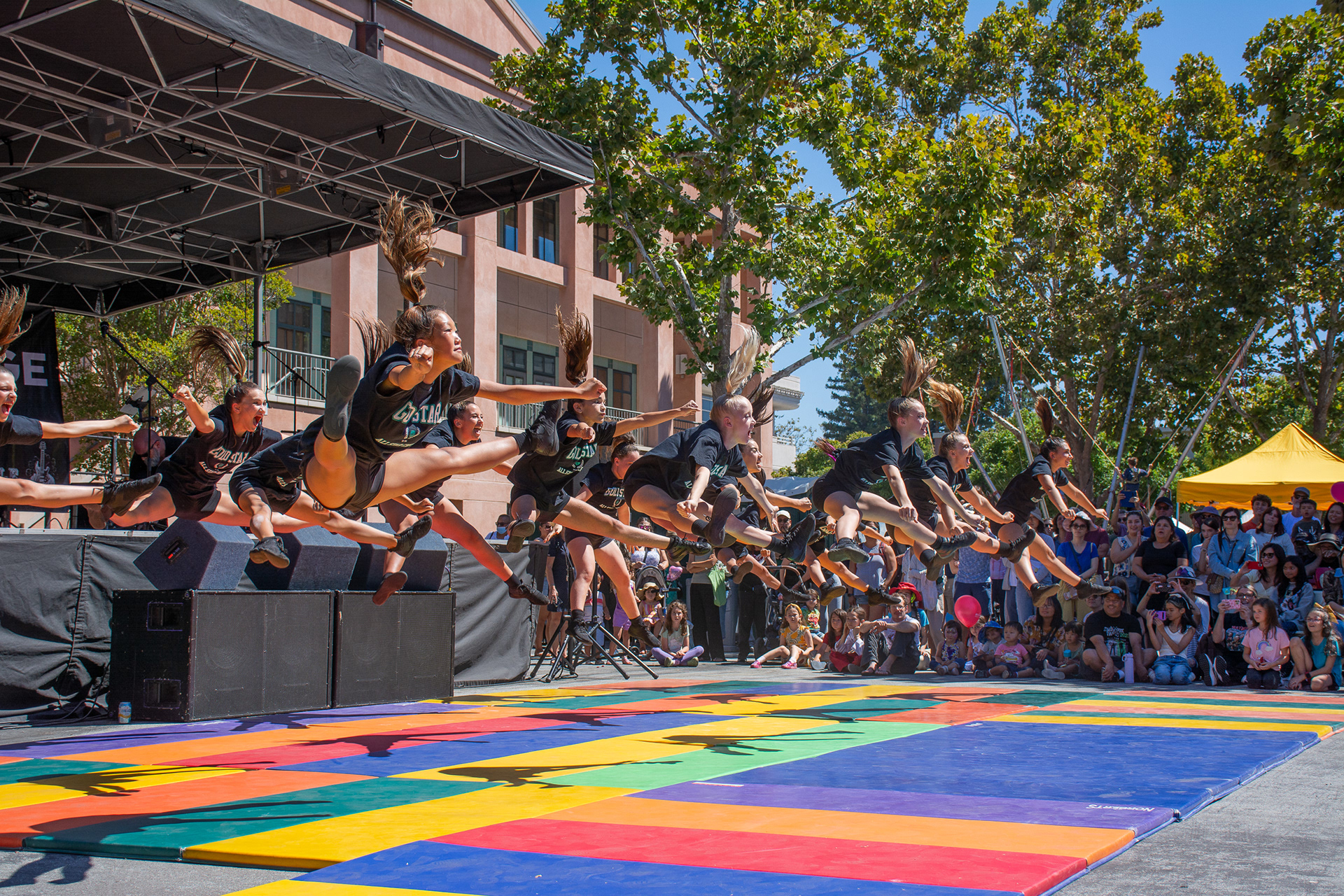 Mountain View Art & Wine Festival 2024