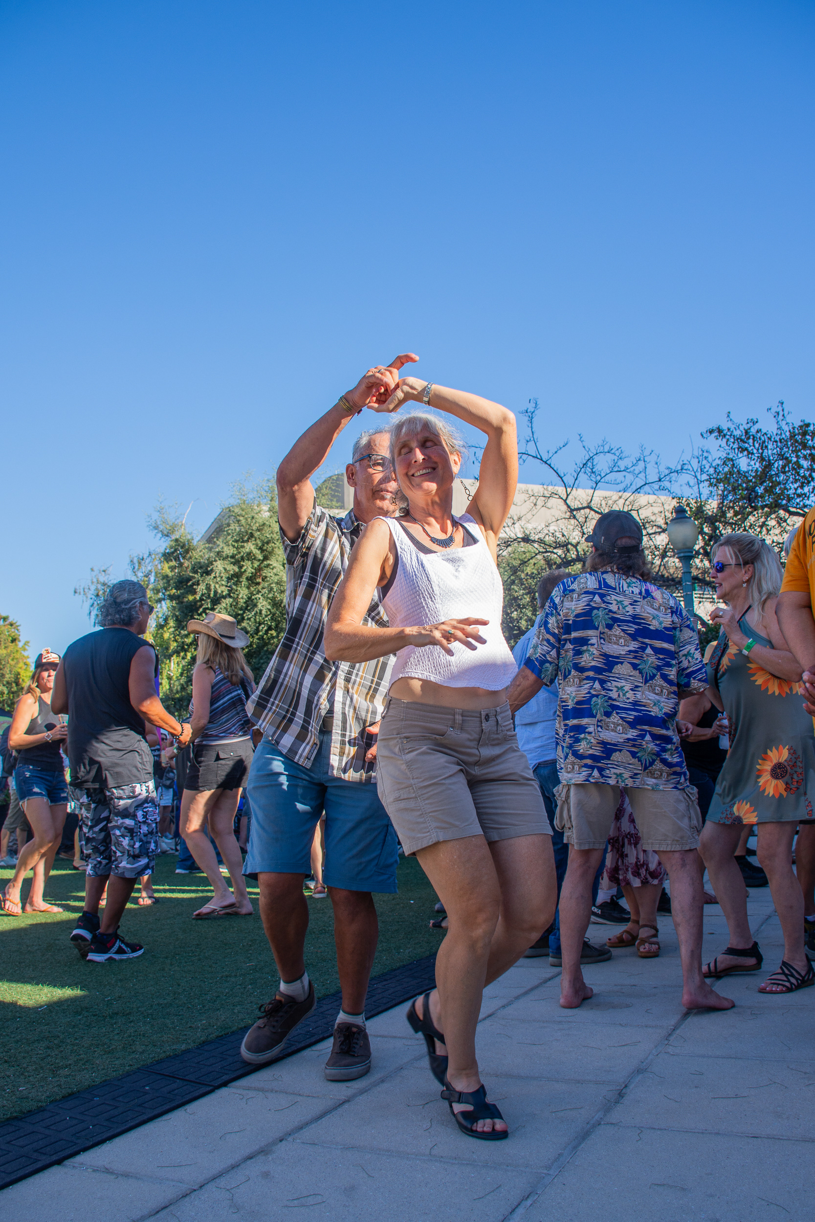Mountain View Art & Wine Festival 2024