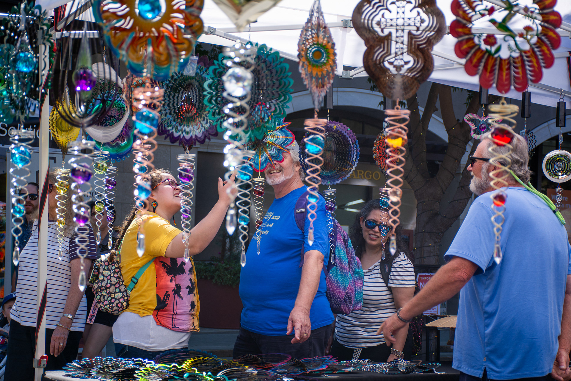 Mountain View Art & Wine Festival 2024