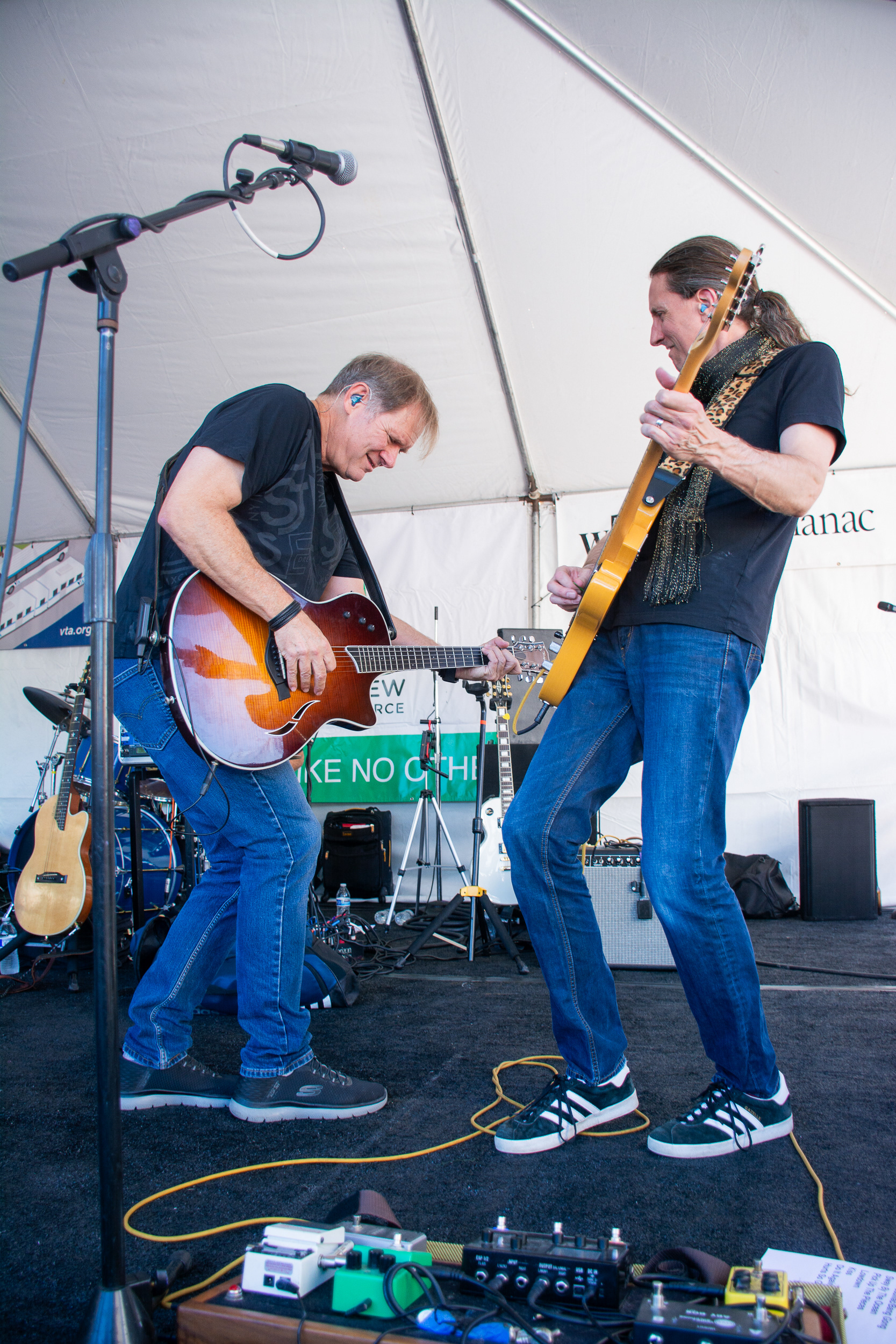 Mountain View Art & Wine Festival 2024
